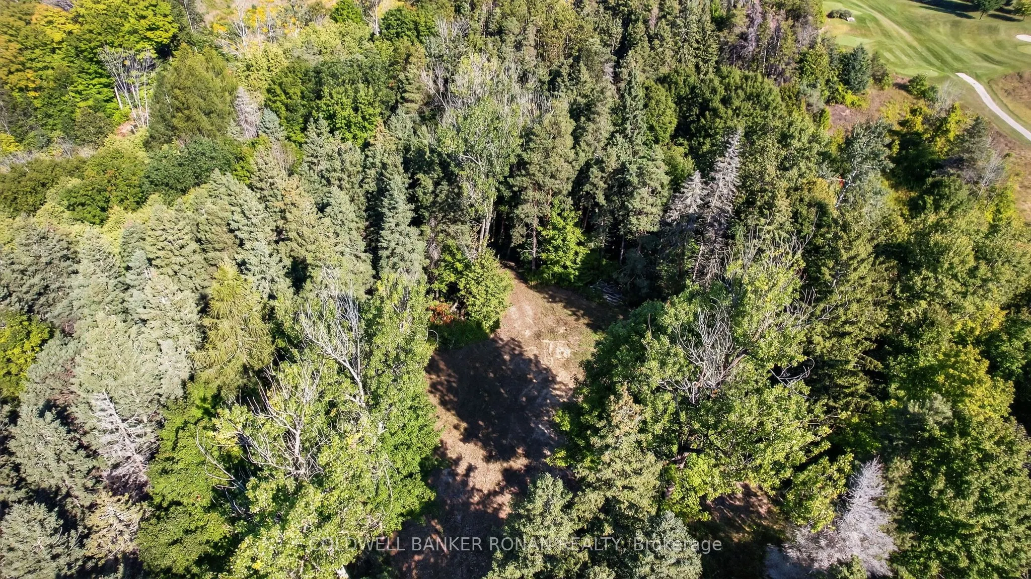 934529 Airport Road