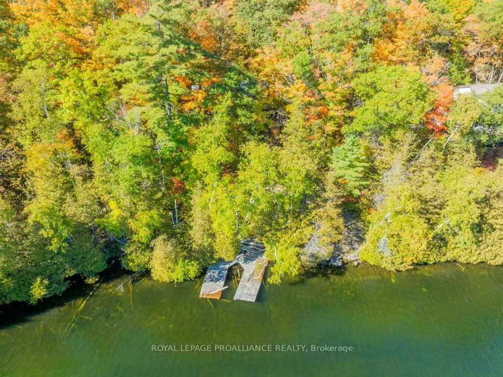 1042 East Flieler Lane