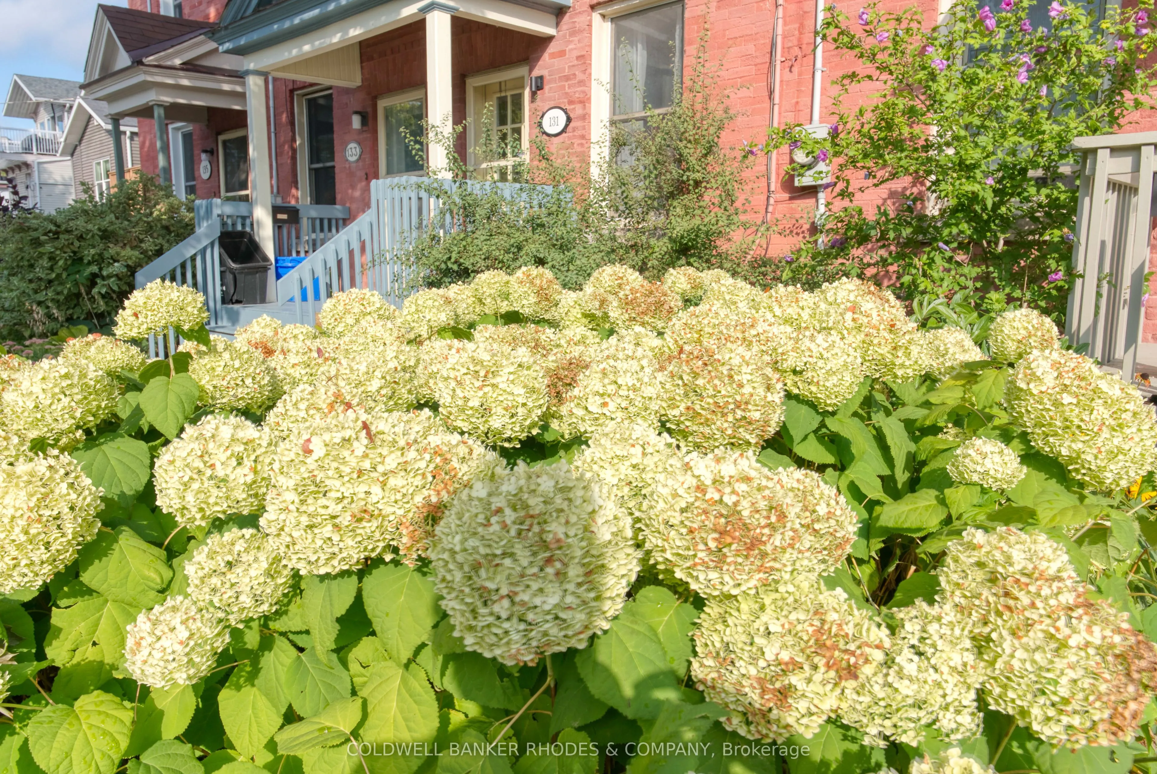 129 Elm Street