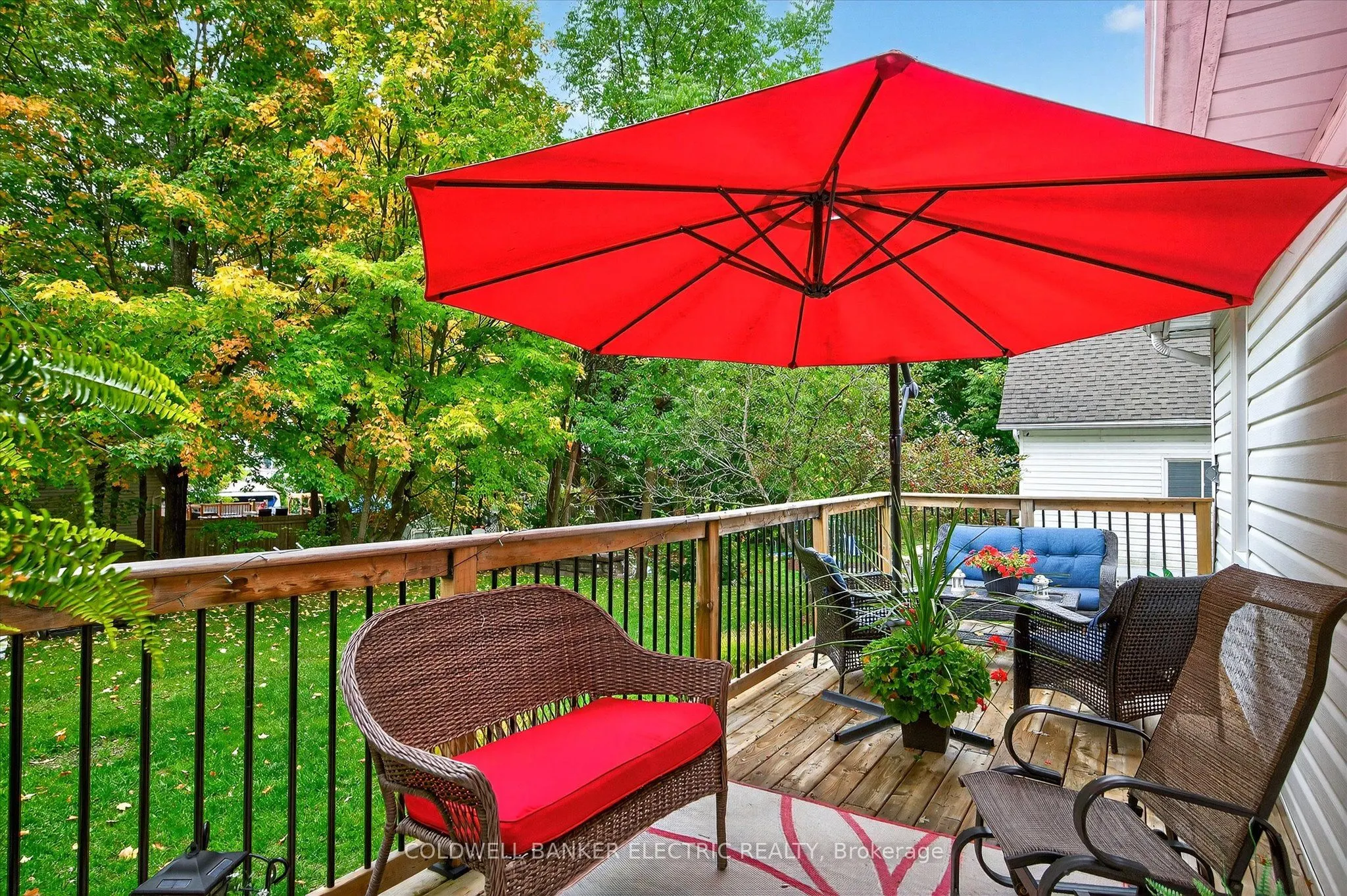 42 Madoc Street
