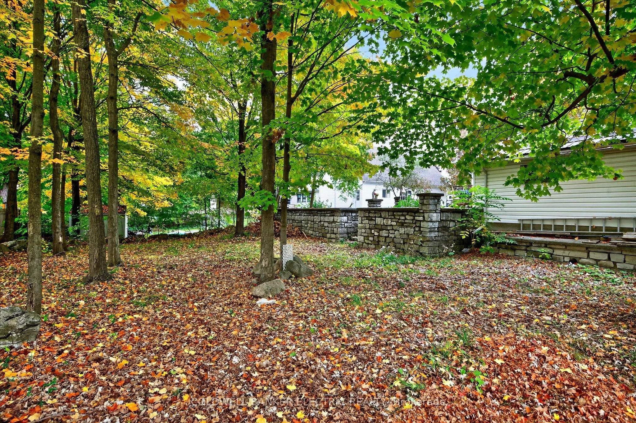 42 Madoc Street