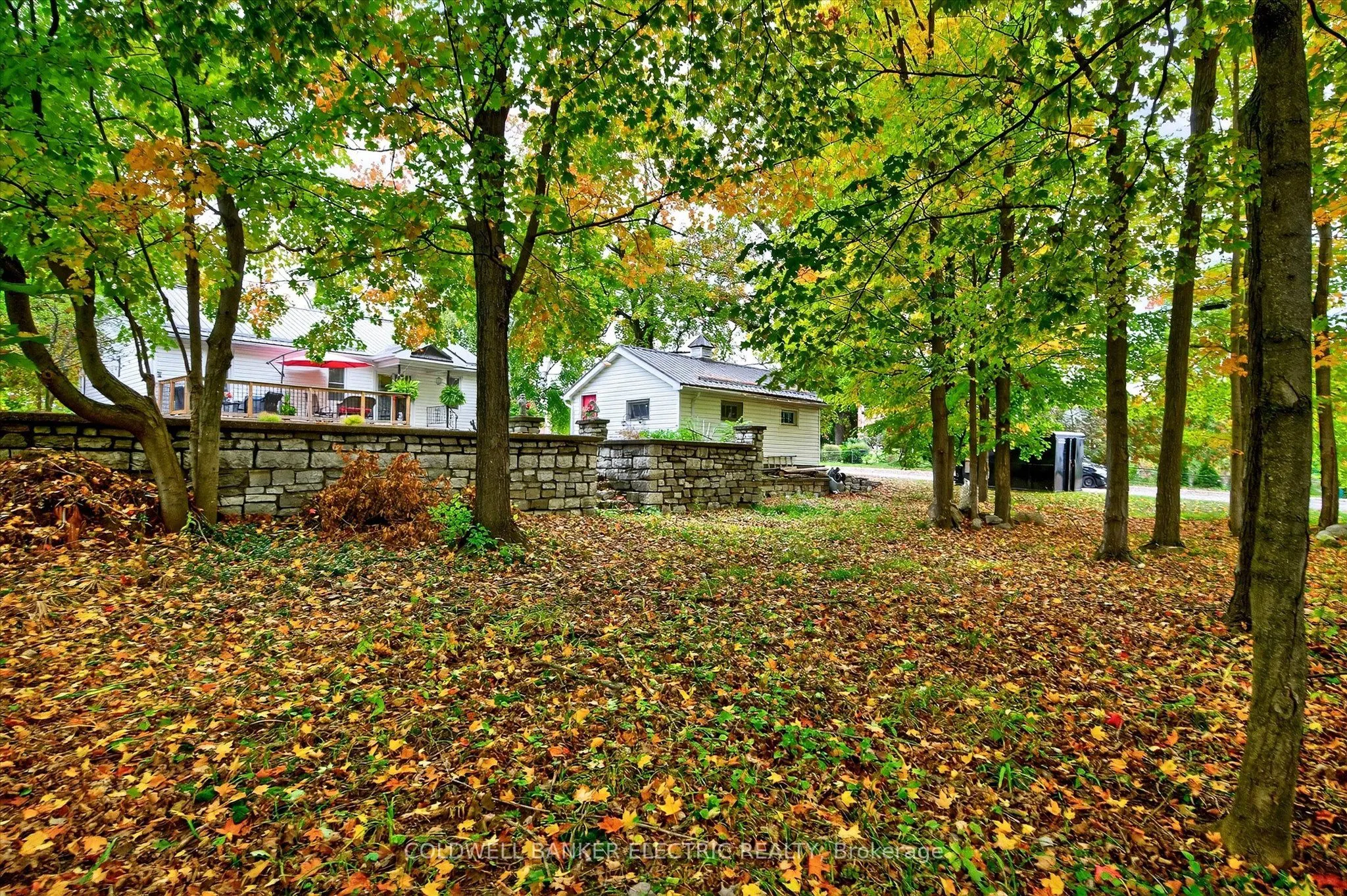 42 Madoc Street