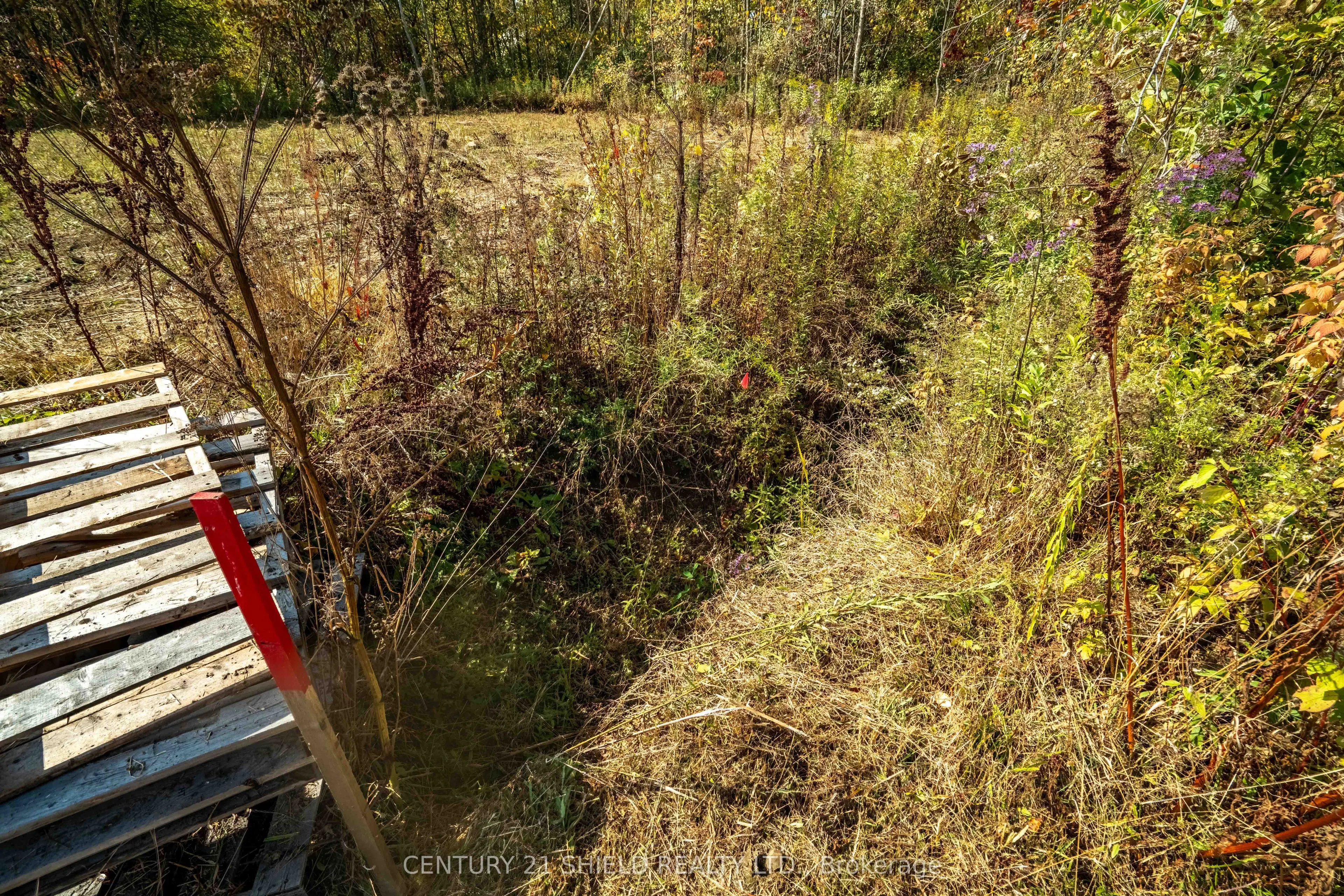 15618 Dixon Road