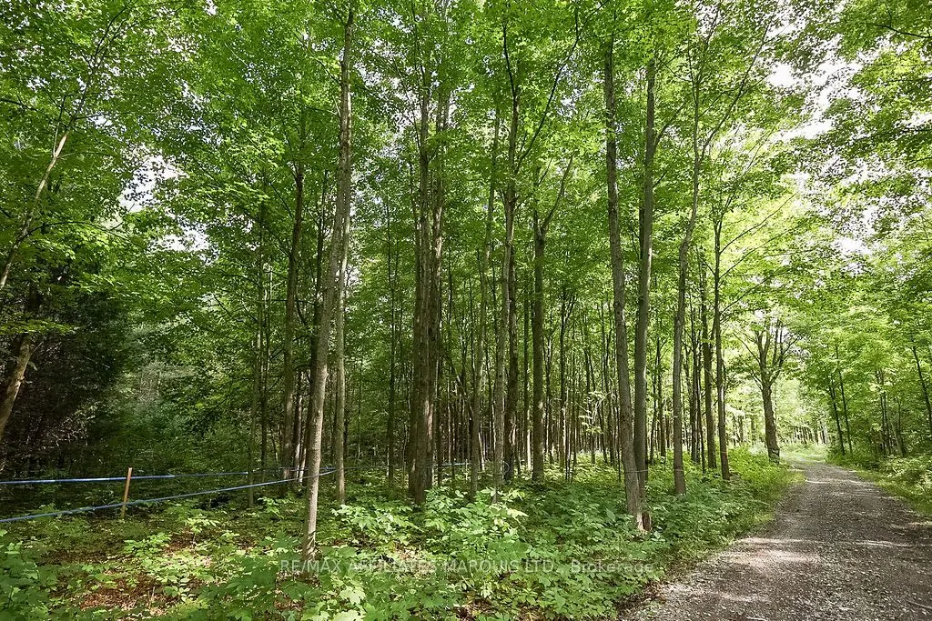 19509 COUNTY ROAD  43 Road