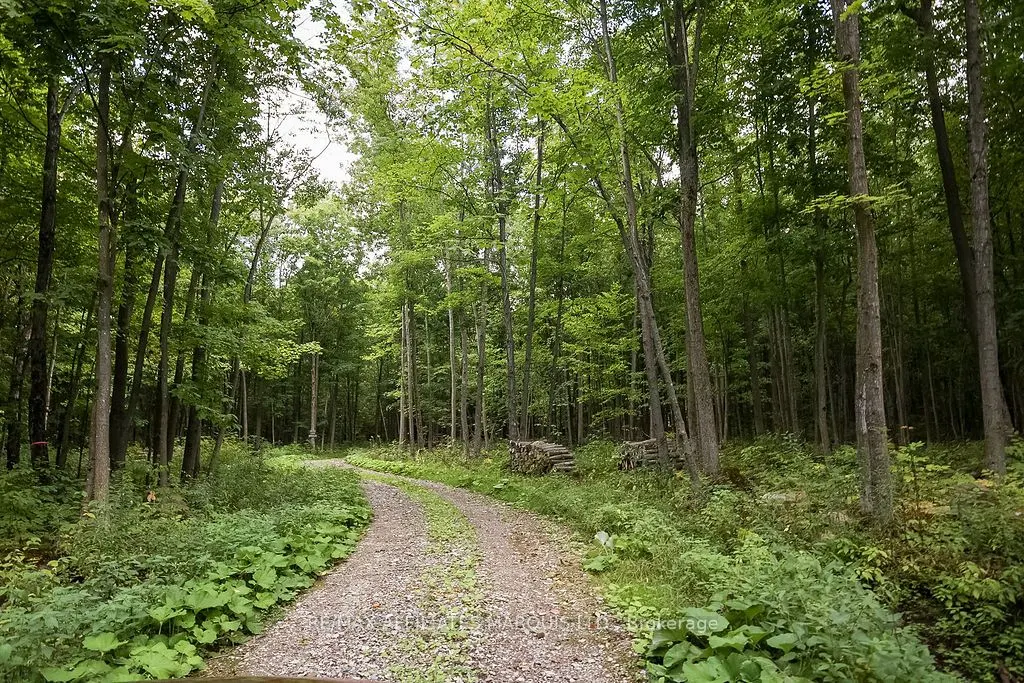 19509 COUNTY ROAD  43 Road