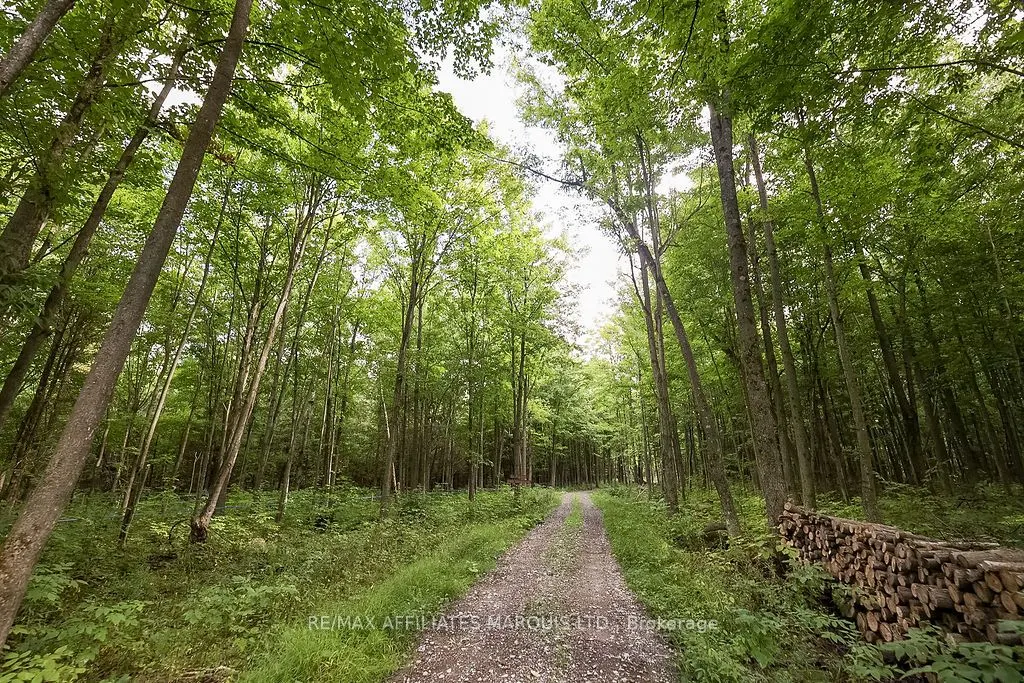 19509 COUNTY ROAD  43 Road