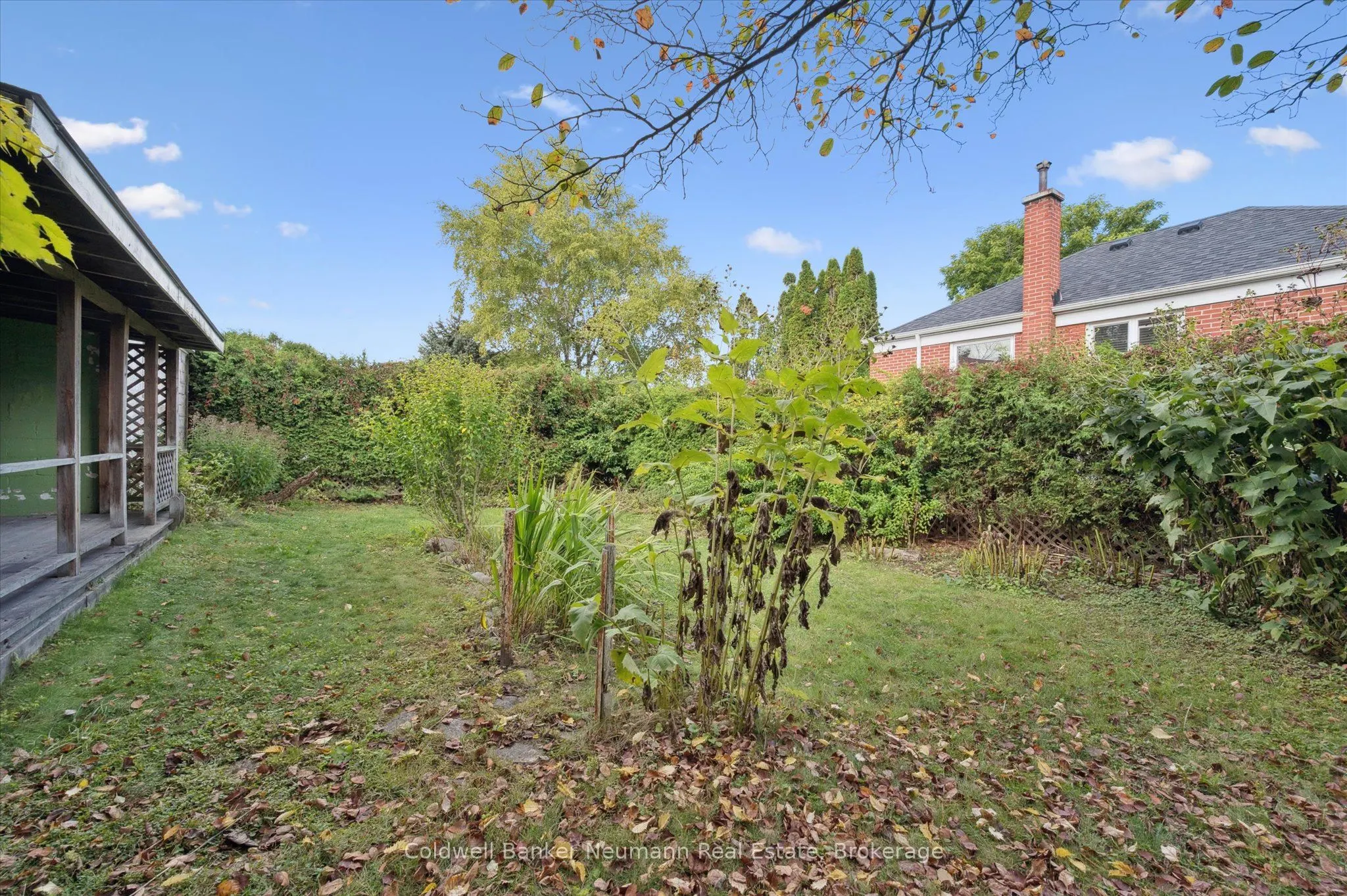26 Bagot Street