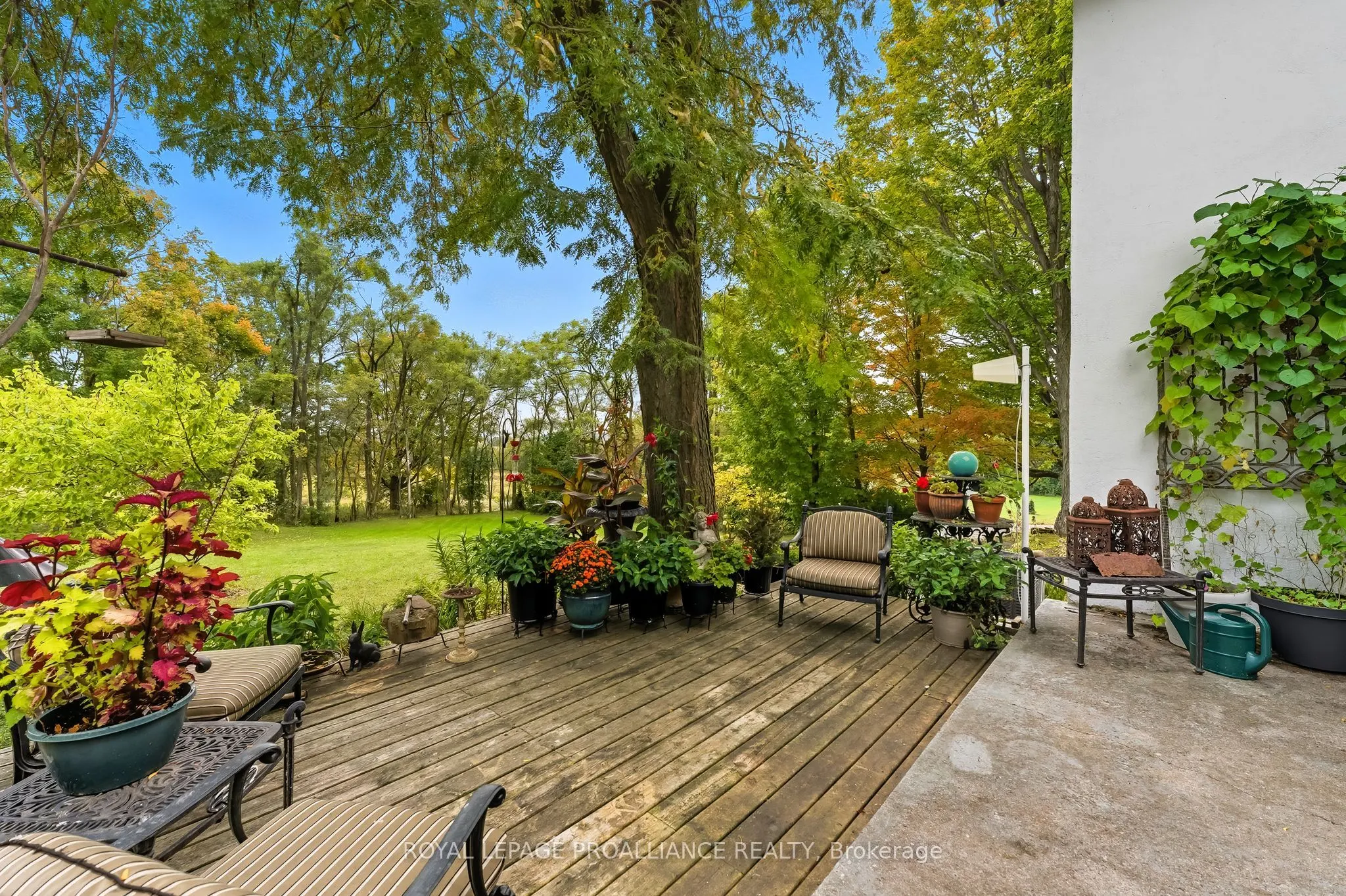 3921 Kennedy Road