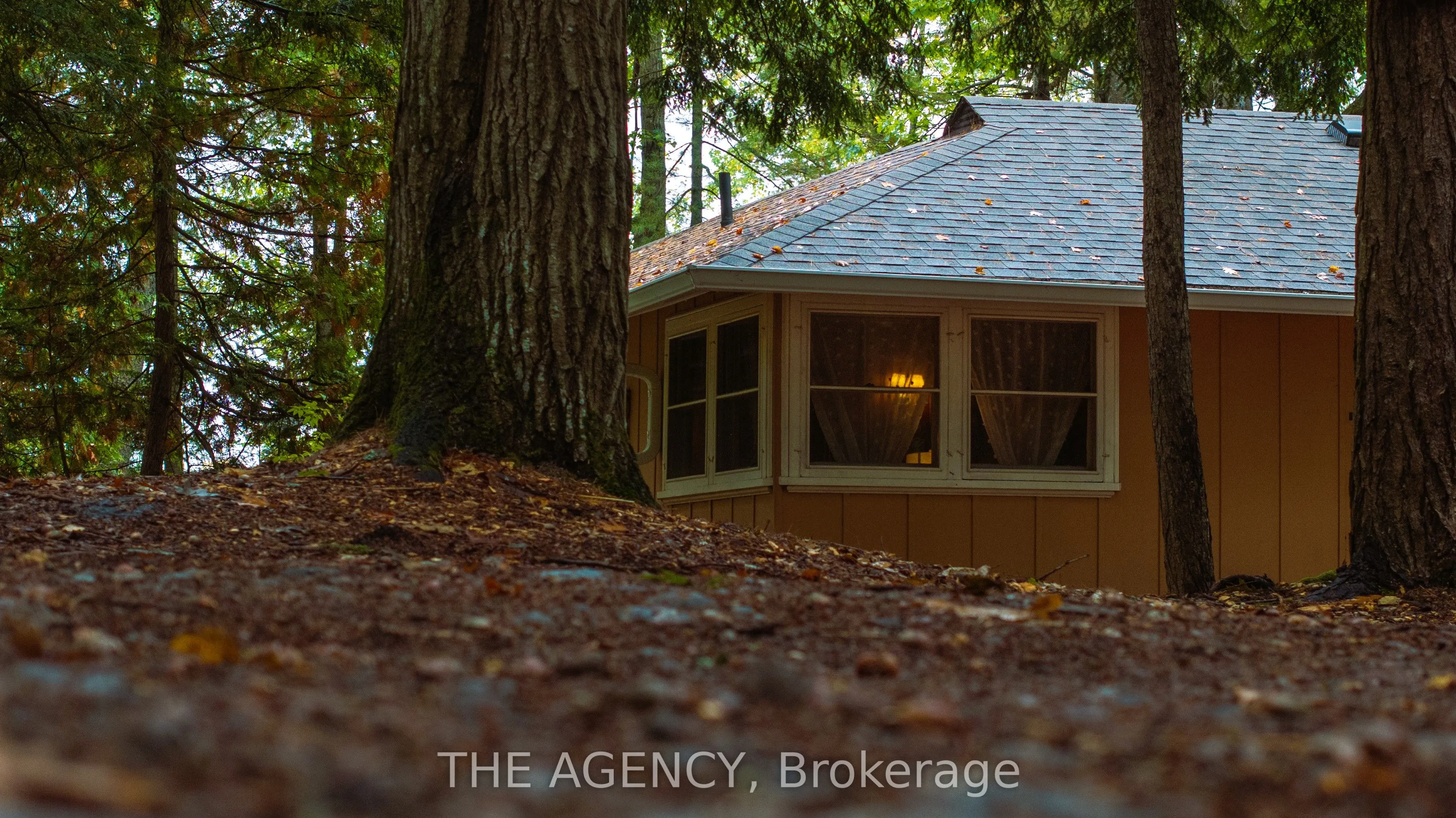 1011 Hamill Road, #4