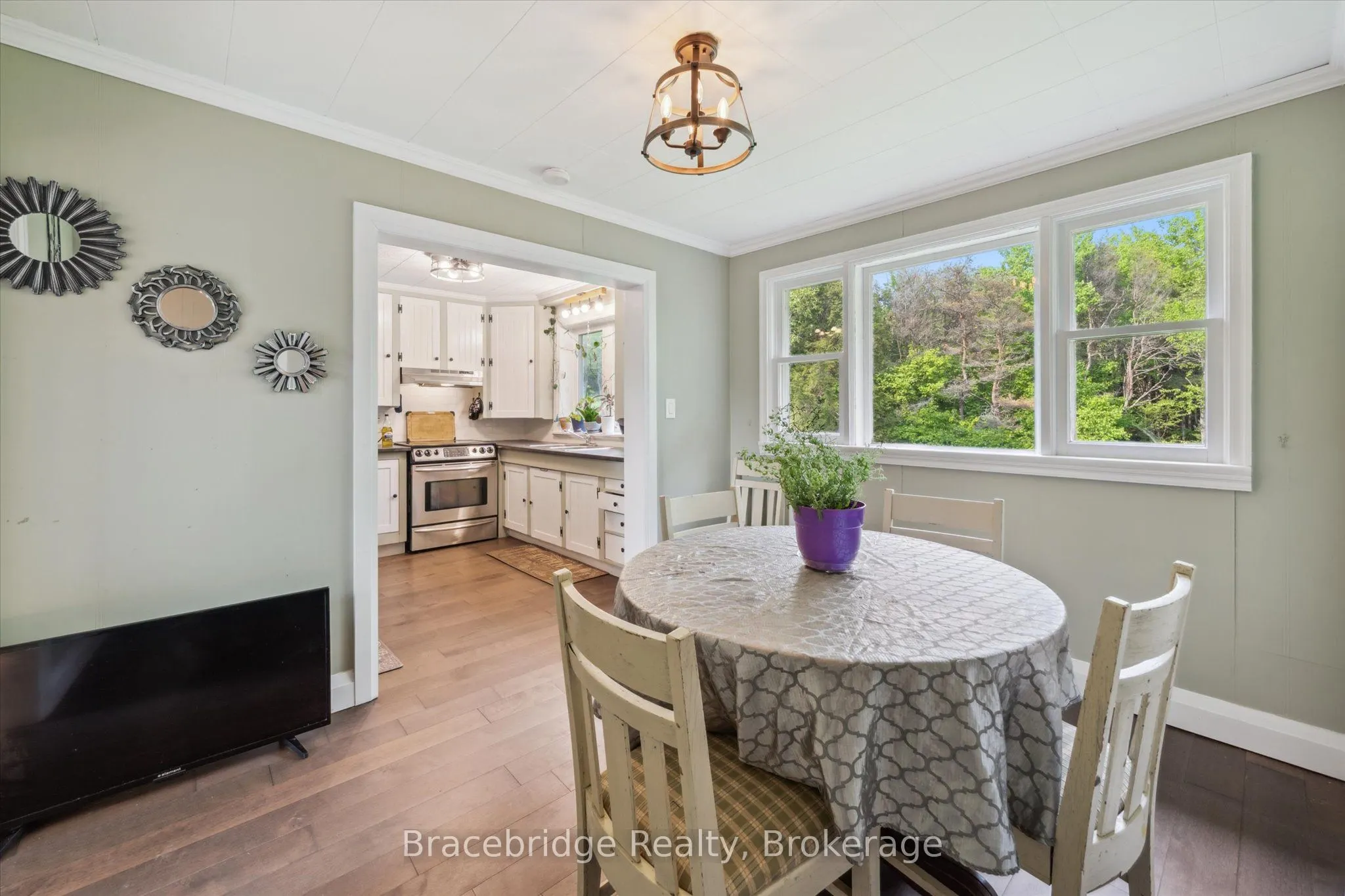 1151 Beatrice Twn Line