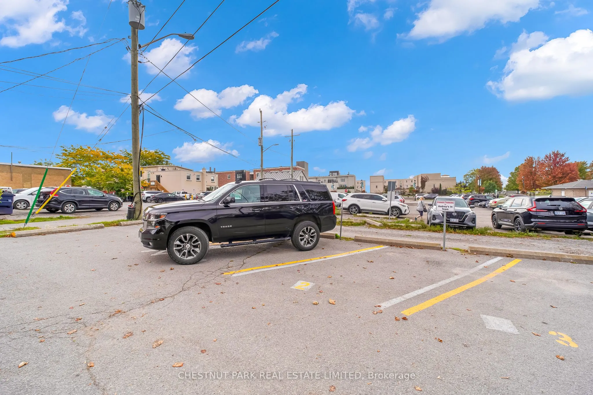 2-19 King Street W