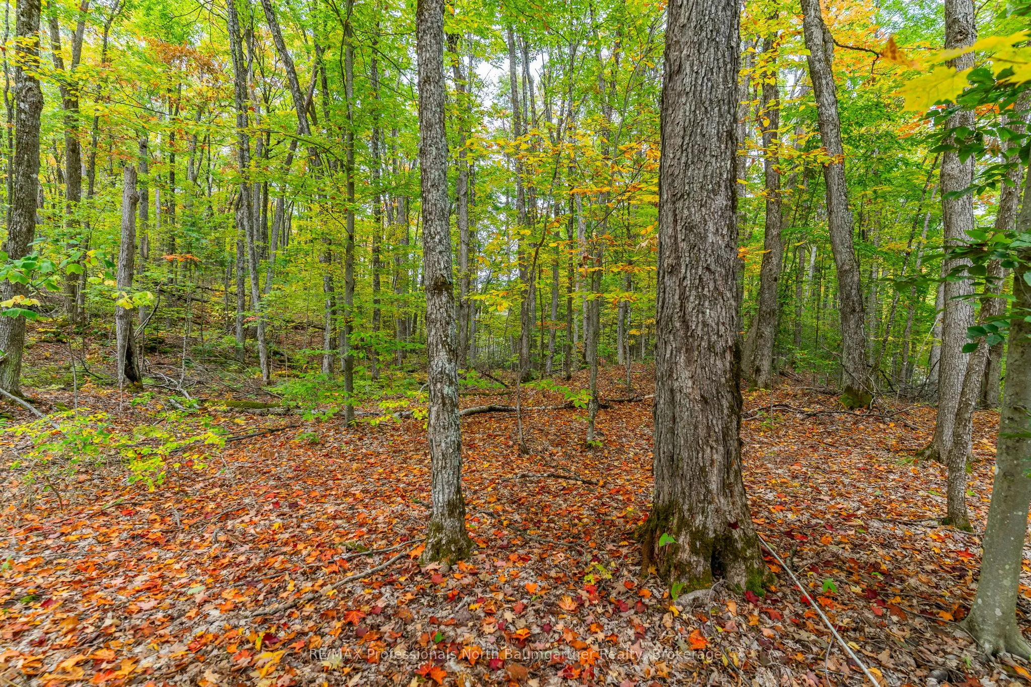 Part Lot 1 Salerno Lake Road