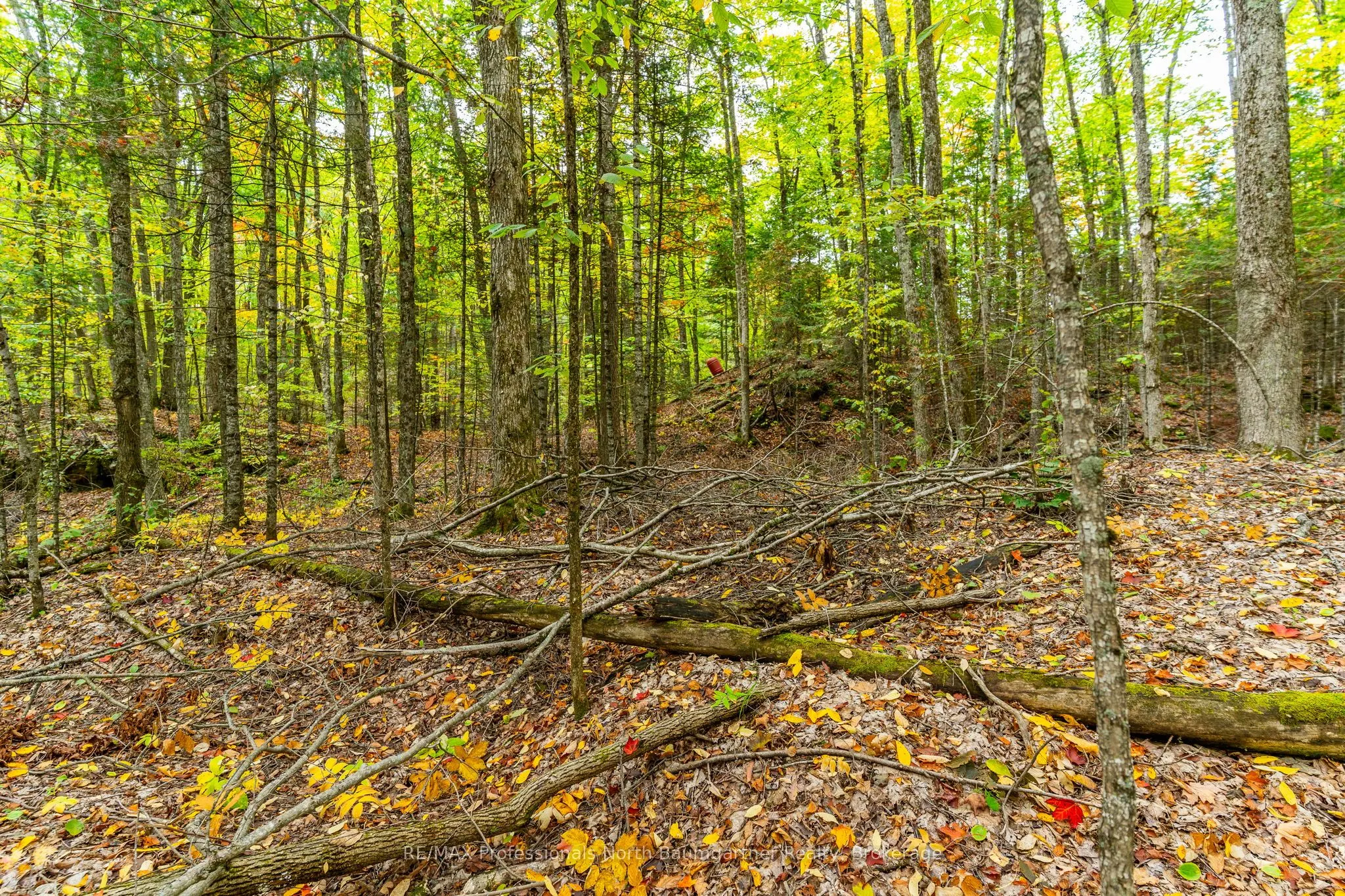 Part Lot 1 Salerno Lake Road