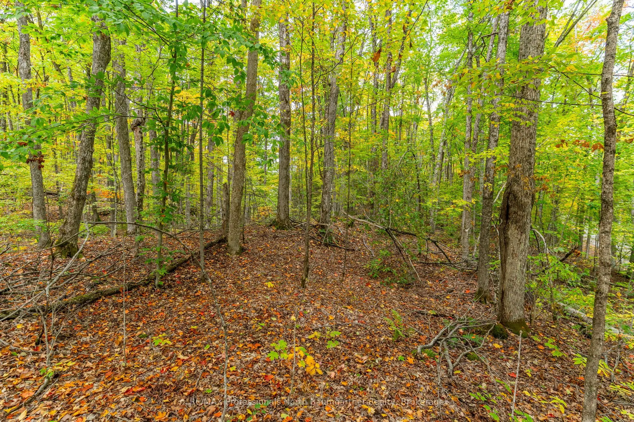 Part Lot 1 Salerno Lake Road