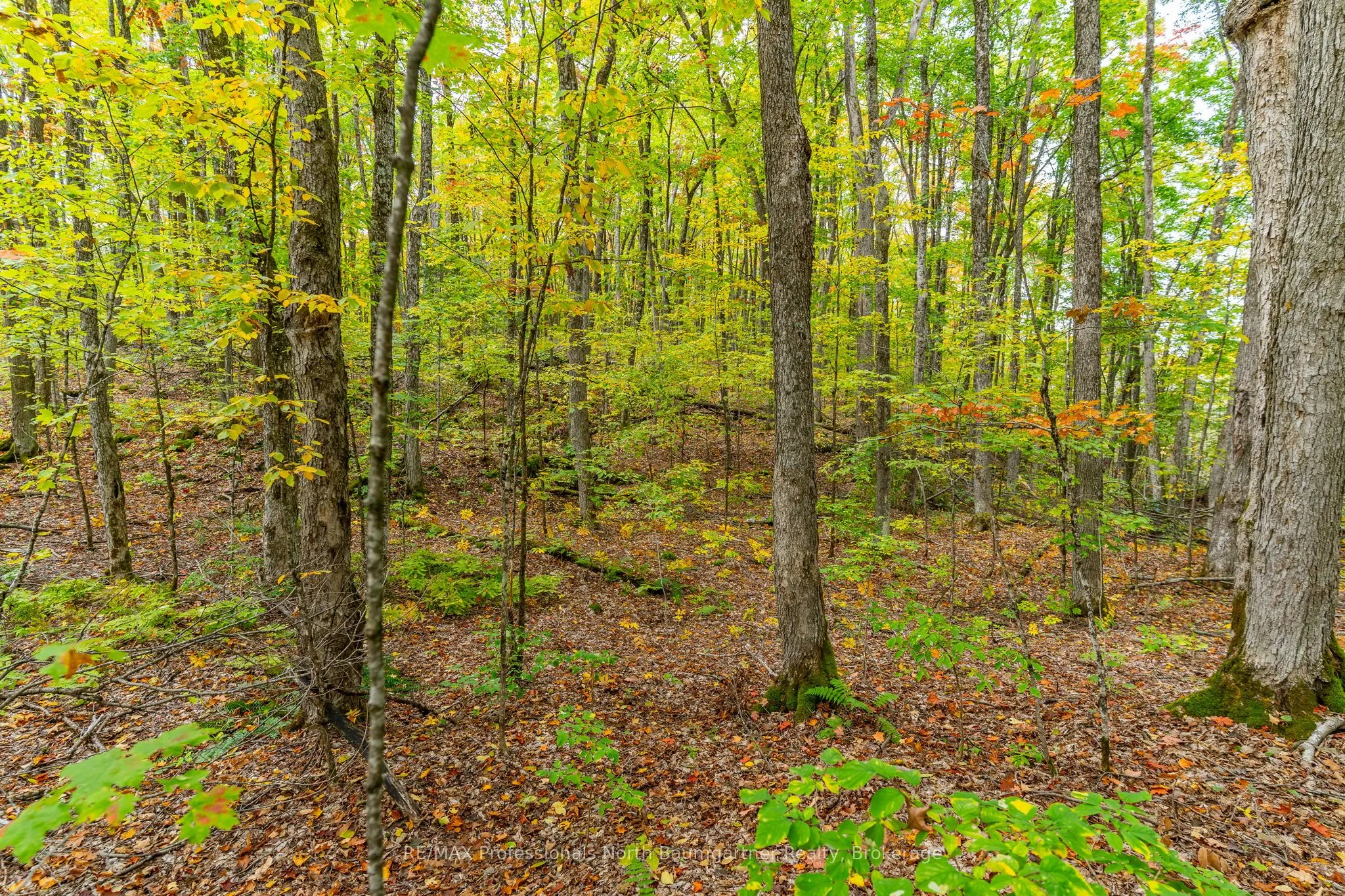 Part Lot 1 Salerno Lake Road