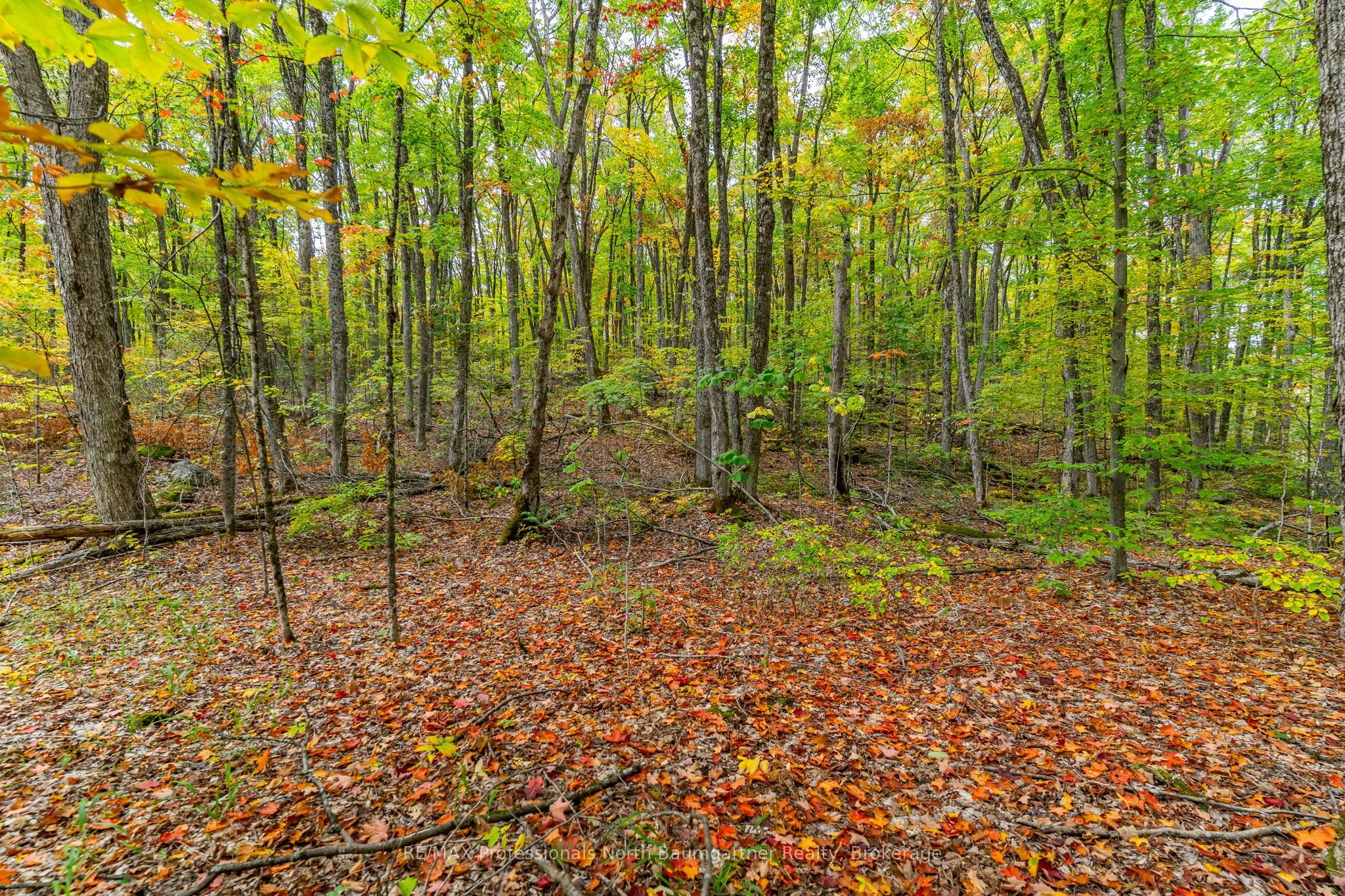 Part Lot 1 Salerno Lake Road