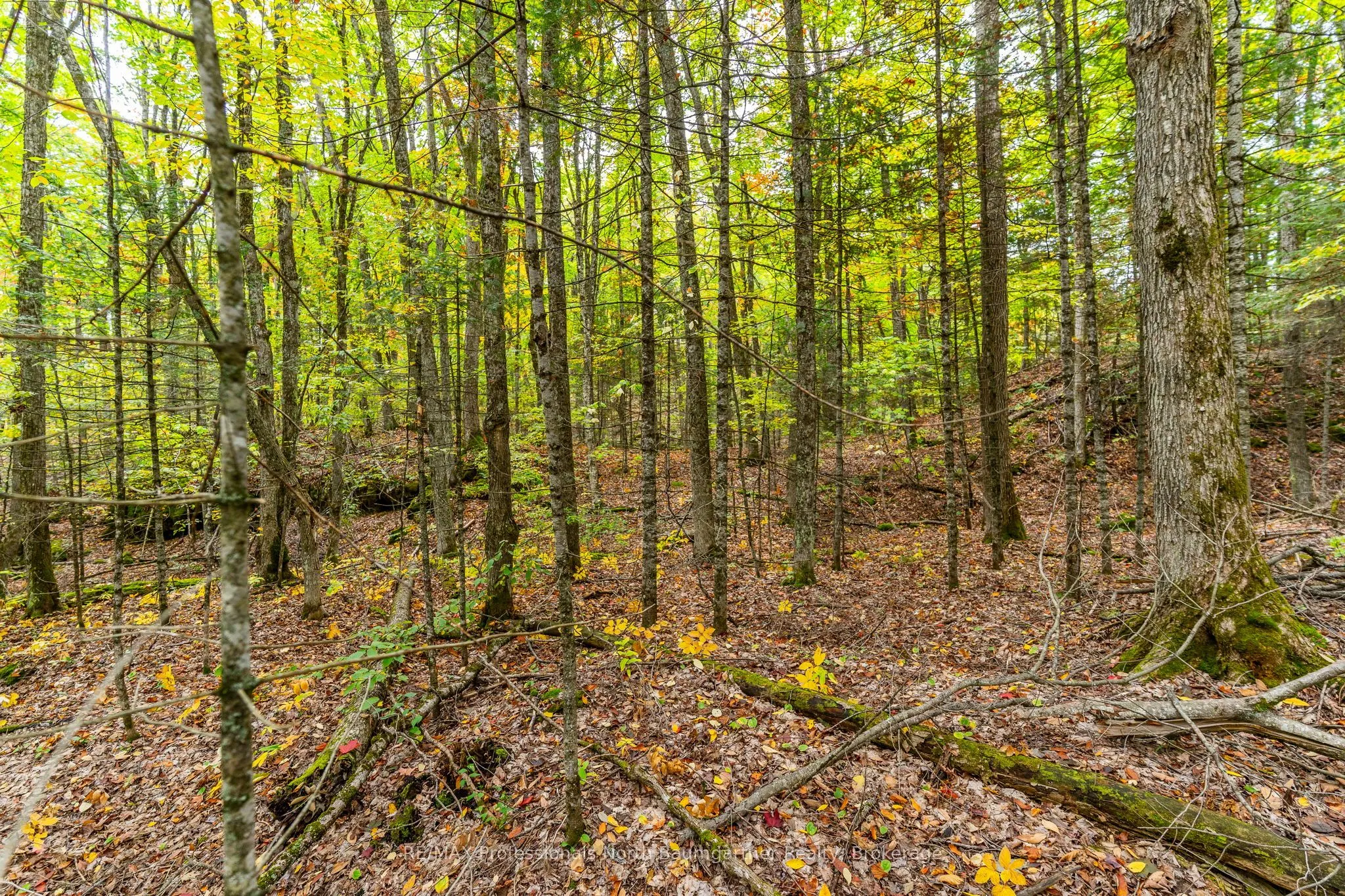 Part Lot 1 Salerno Lake Road