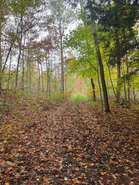 1738 County 2 Road