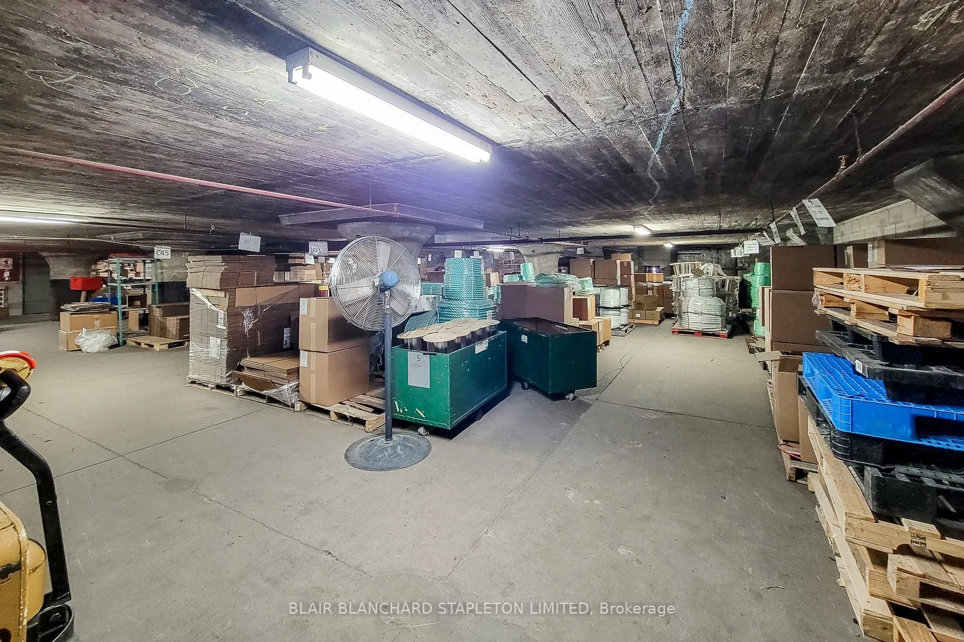 193 Elgin Street