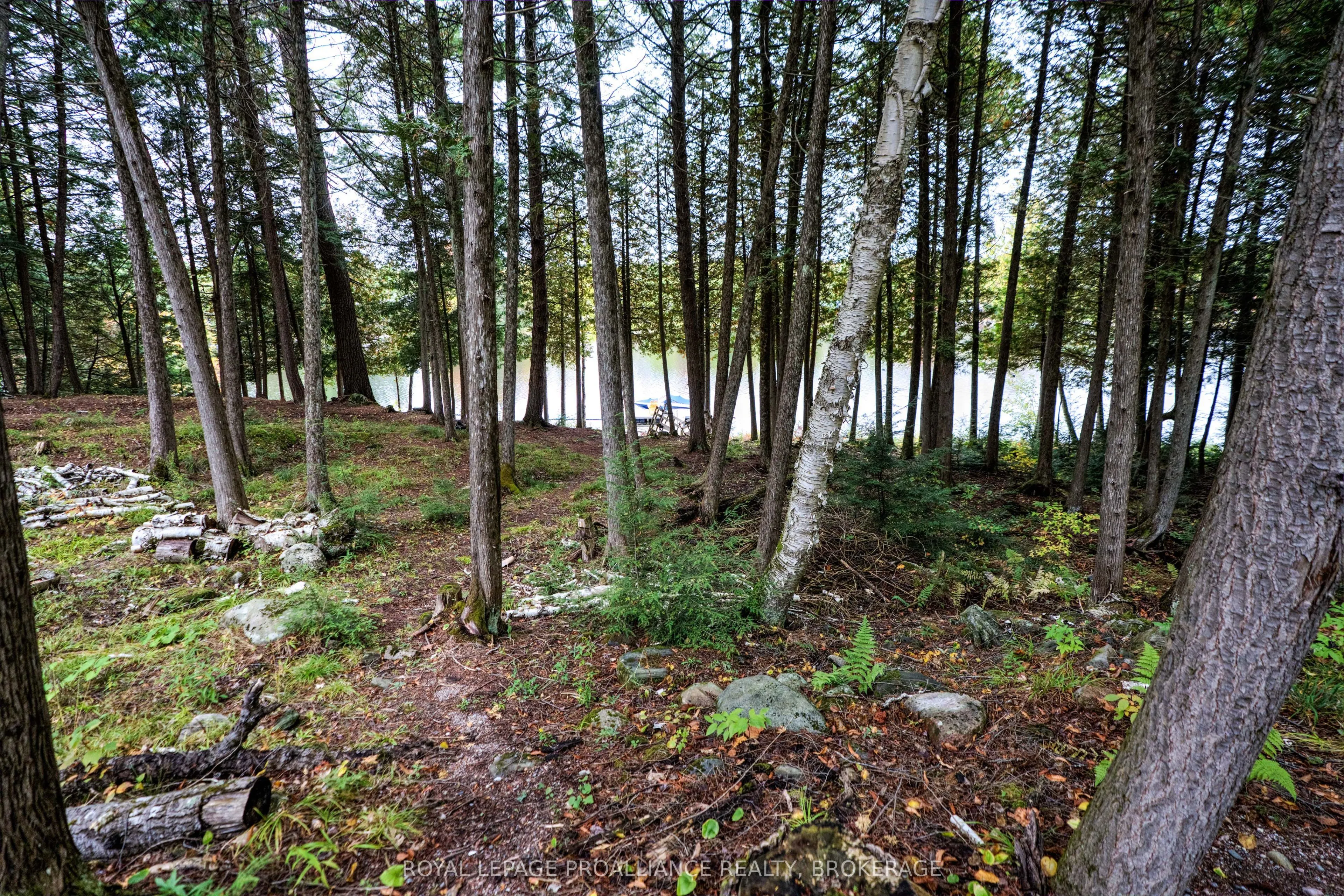 1175 Nordic Road
