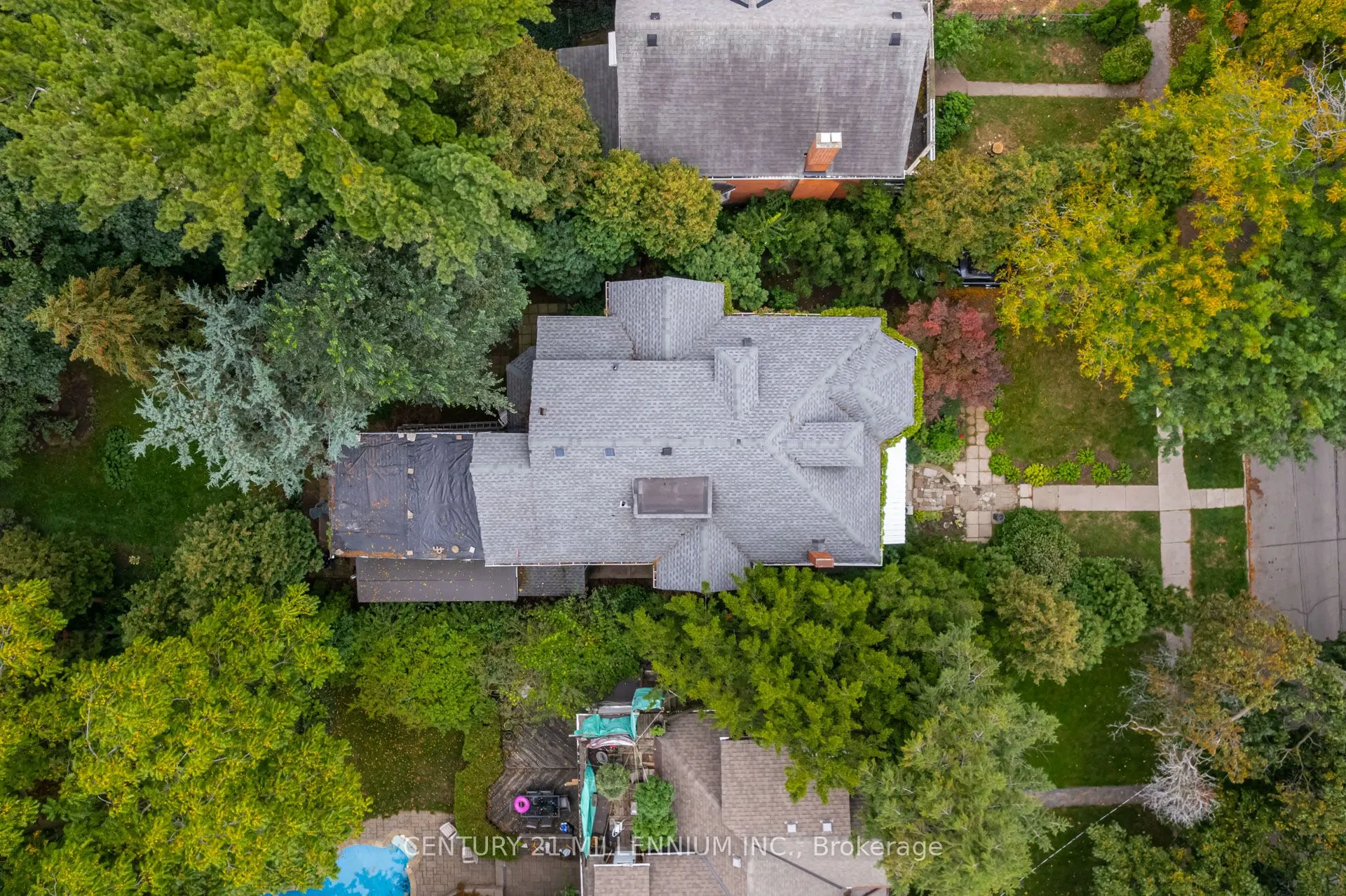 99 Blake Street