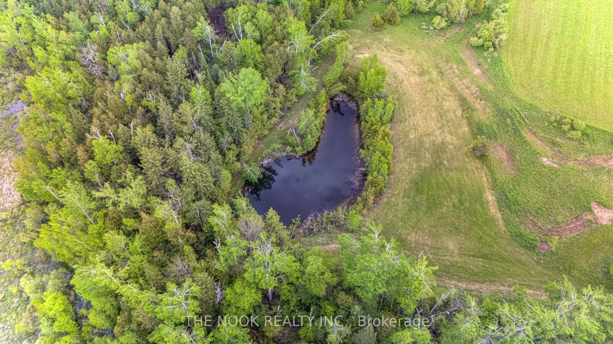 593 Pigeon Creek Road