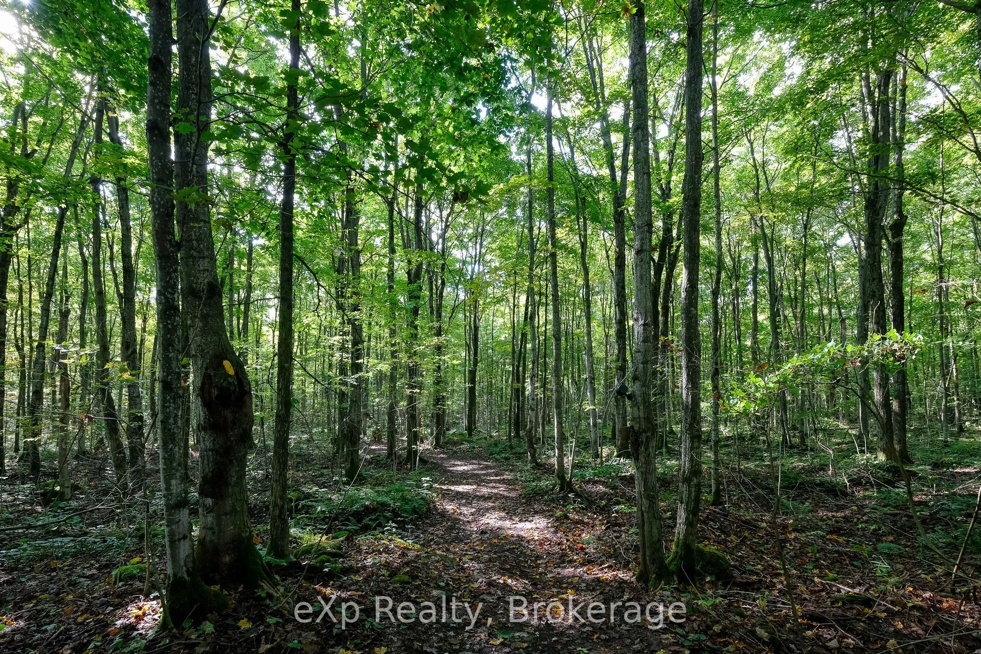 442625 Concession Road 21
