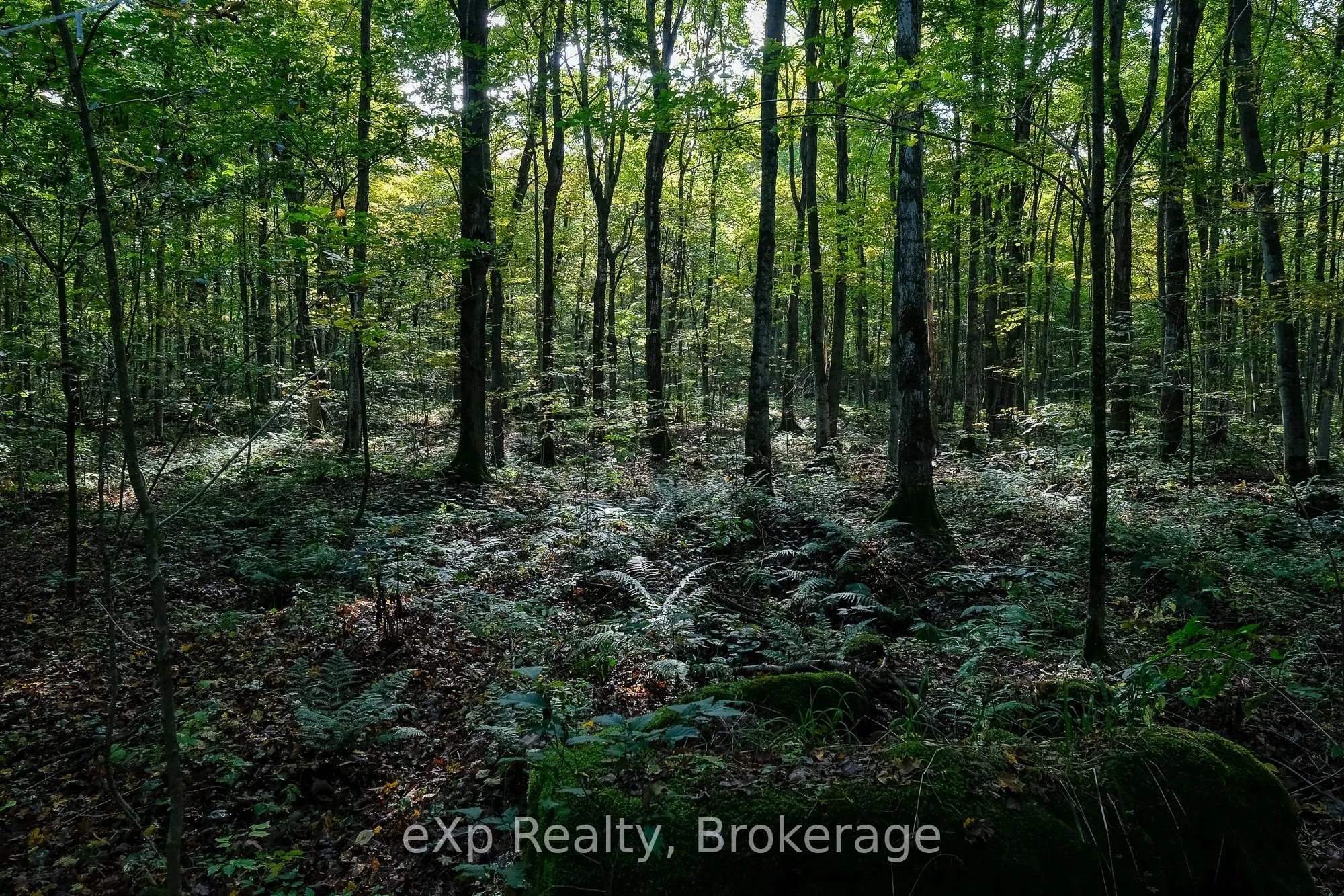 442625 Concession Road 21