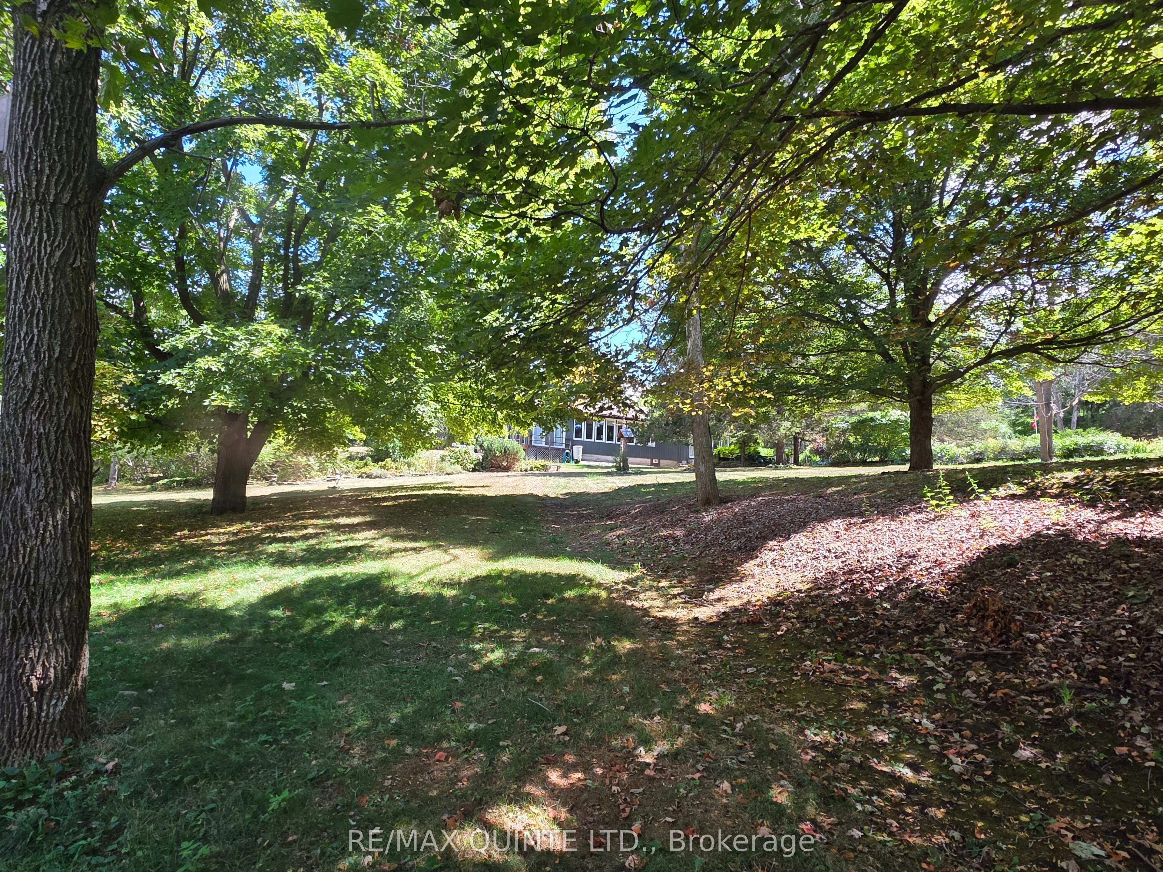 12112D Loyalist Parkway