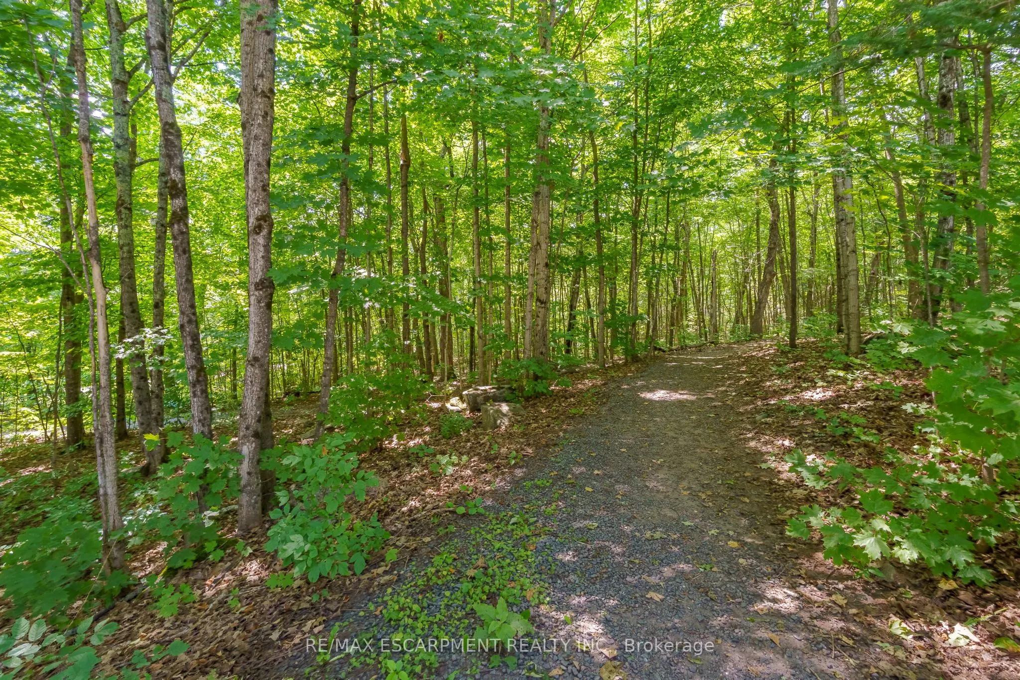 131 Grandview Hilltop Drive, #1