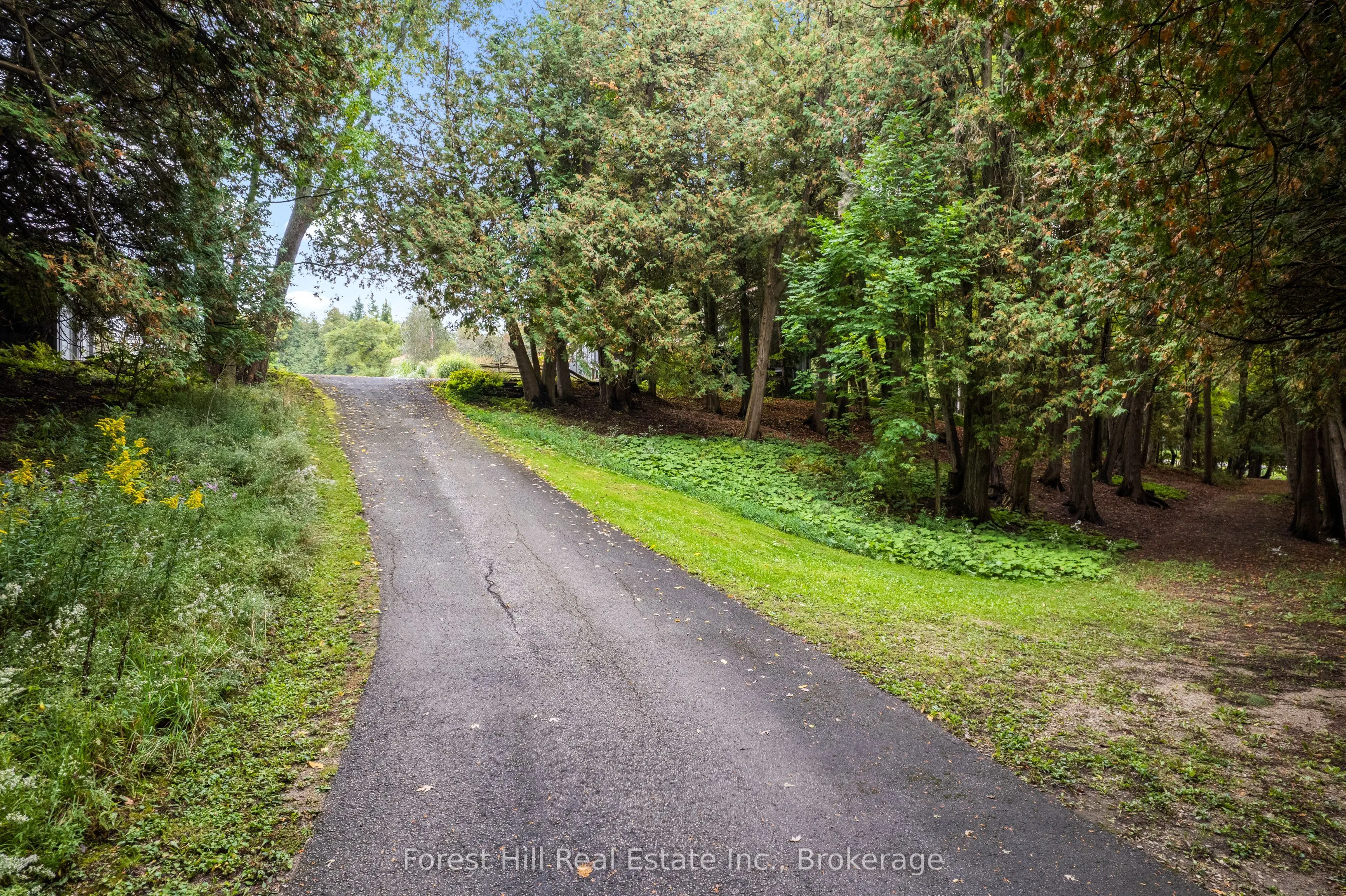 403288 Grey Road 4