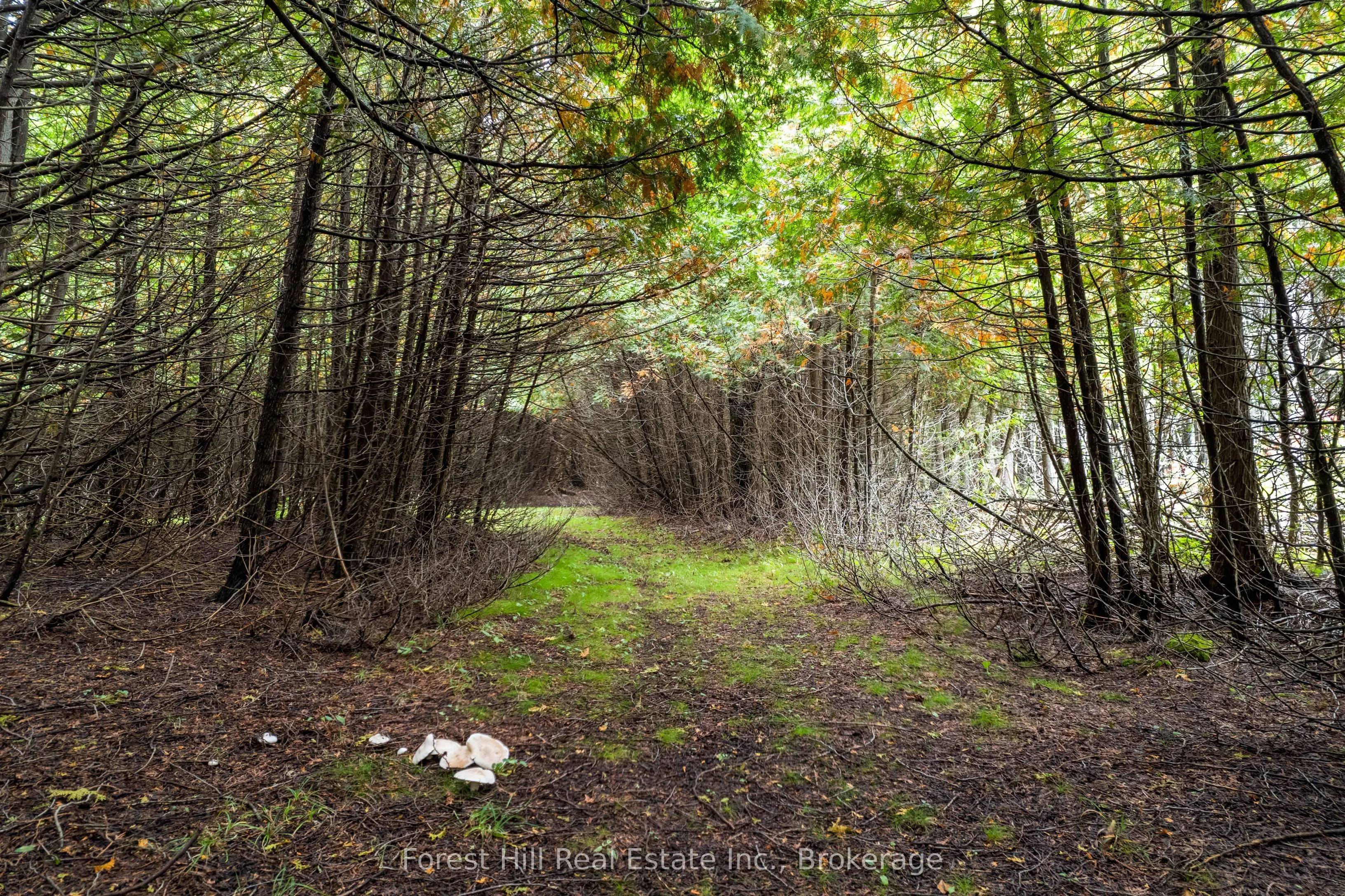 403288 Grey Road 4