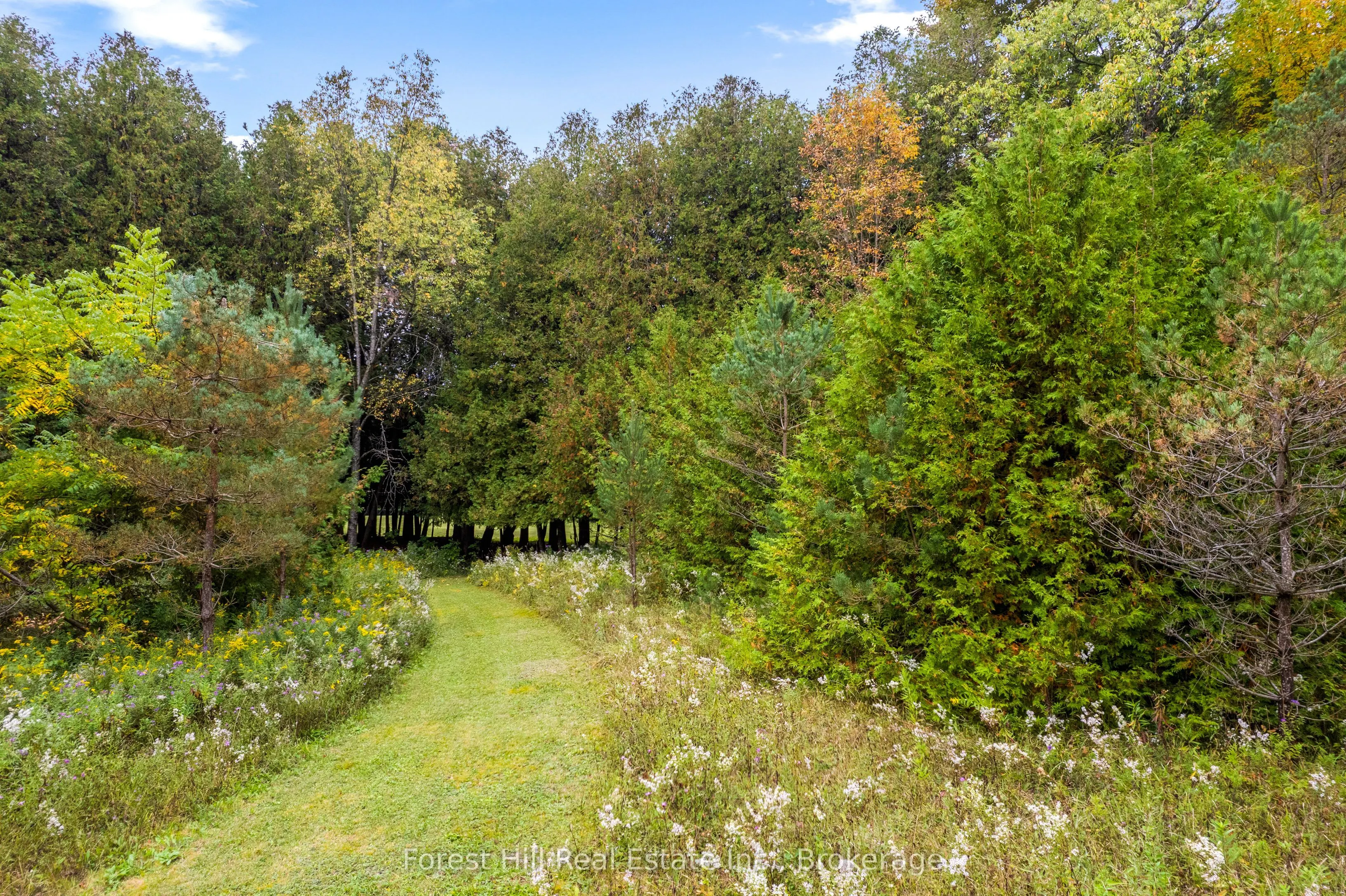 403288 Grey Road 4
