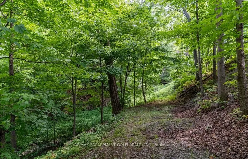 3999 LOCUST Lane, #2