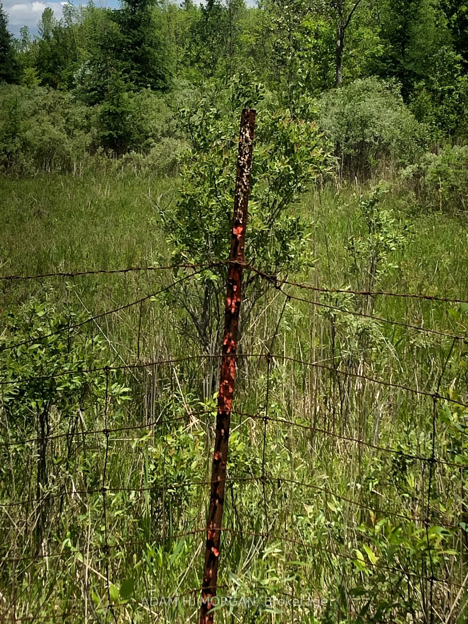 3501 COUNTY RD 15 Road