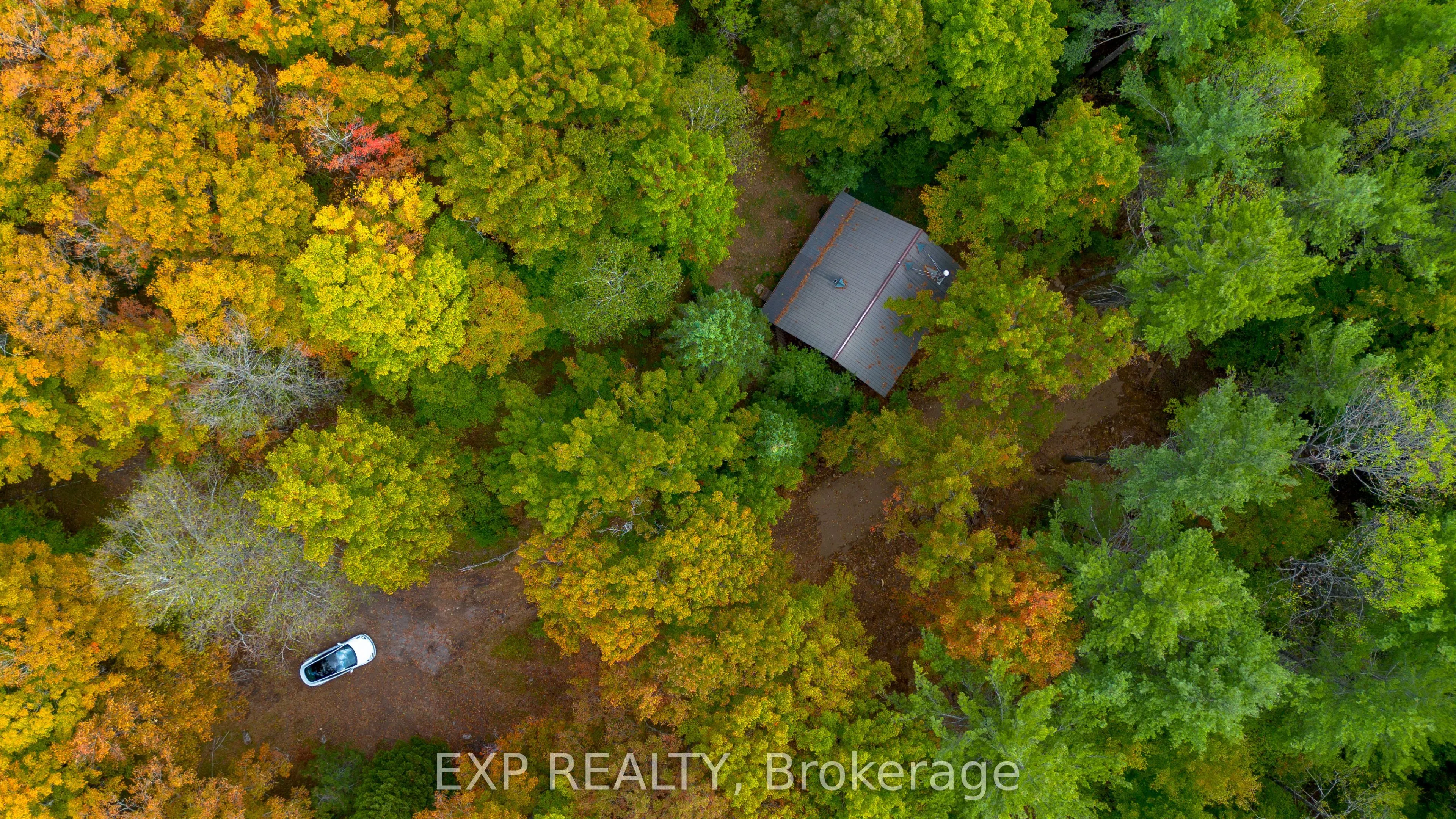 10282 County Road 503