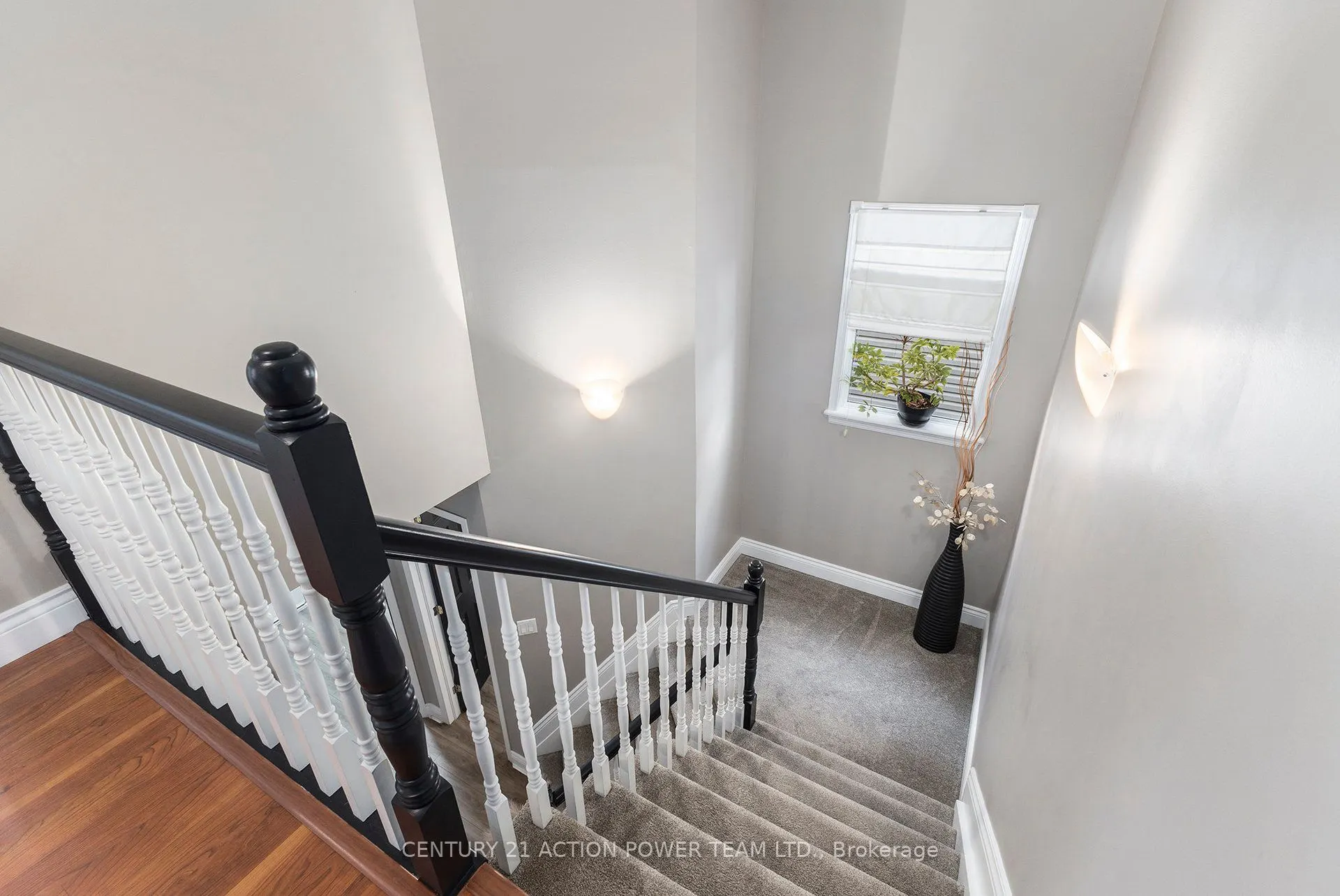 1017 SHEENBORO Crescent
