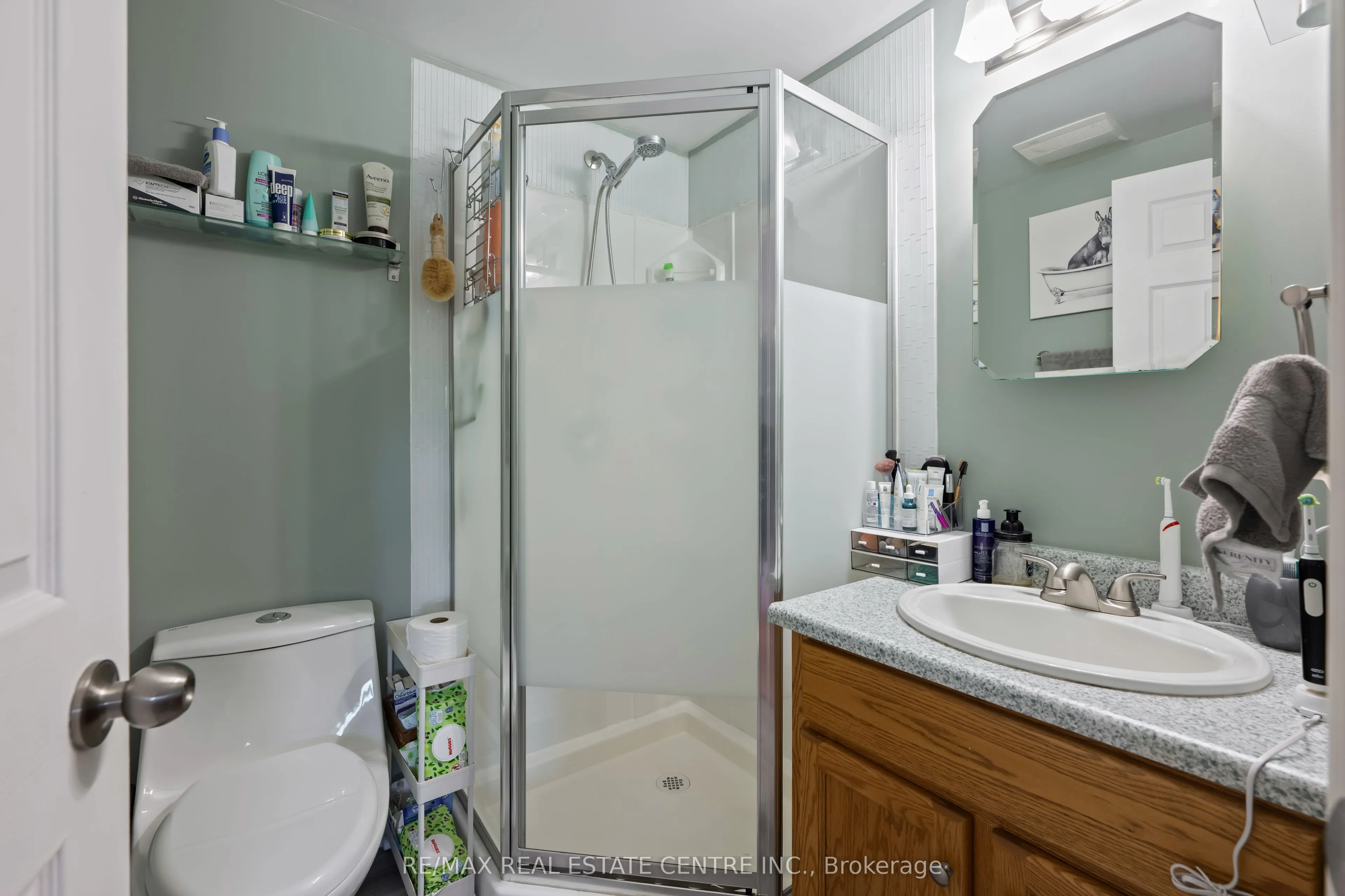 316 Olde Village Court
