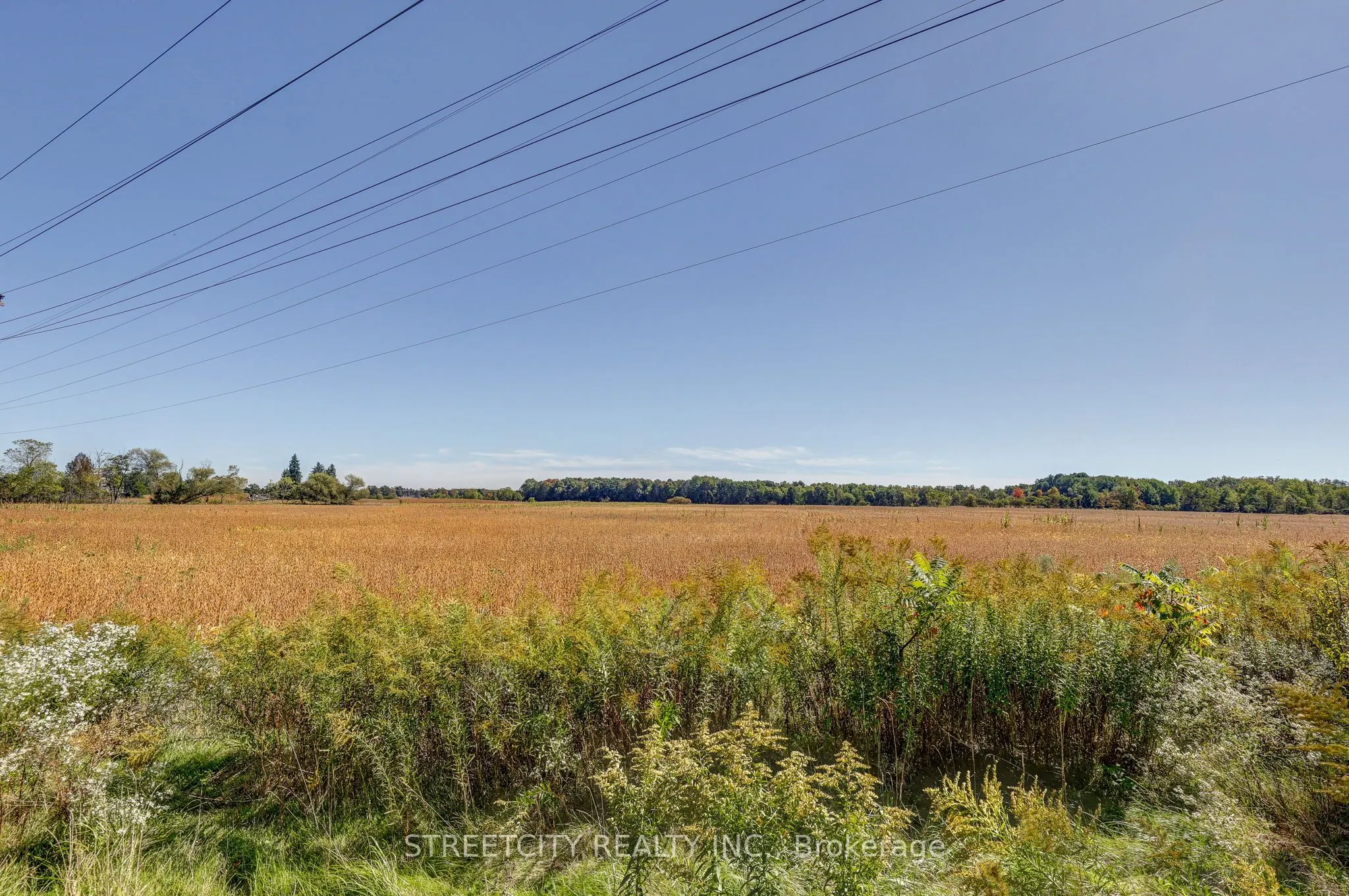 276 Marsh Line