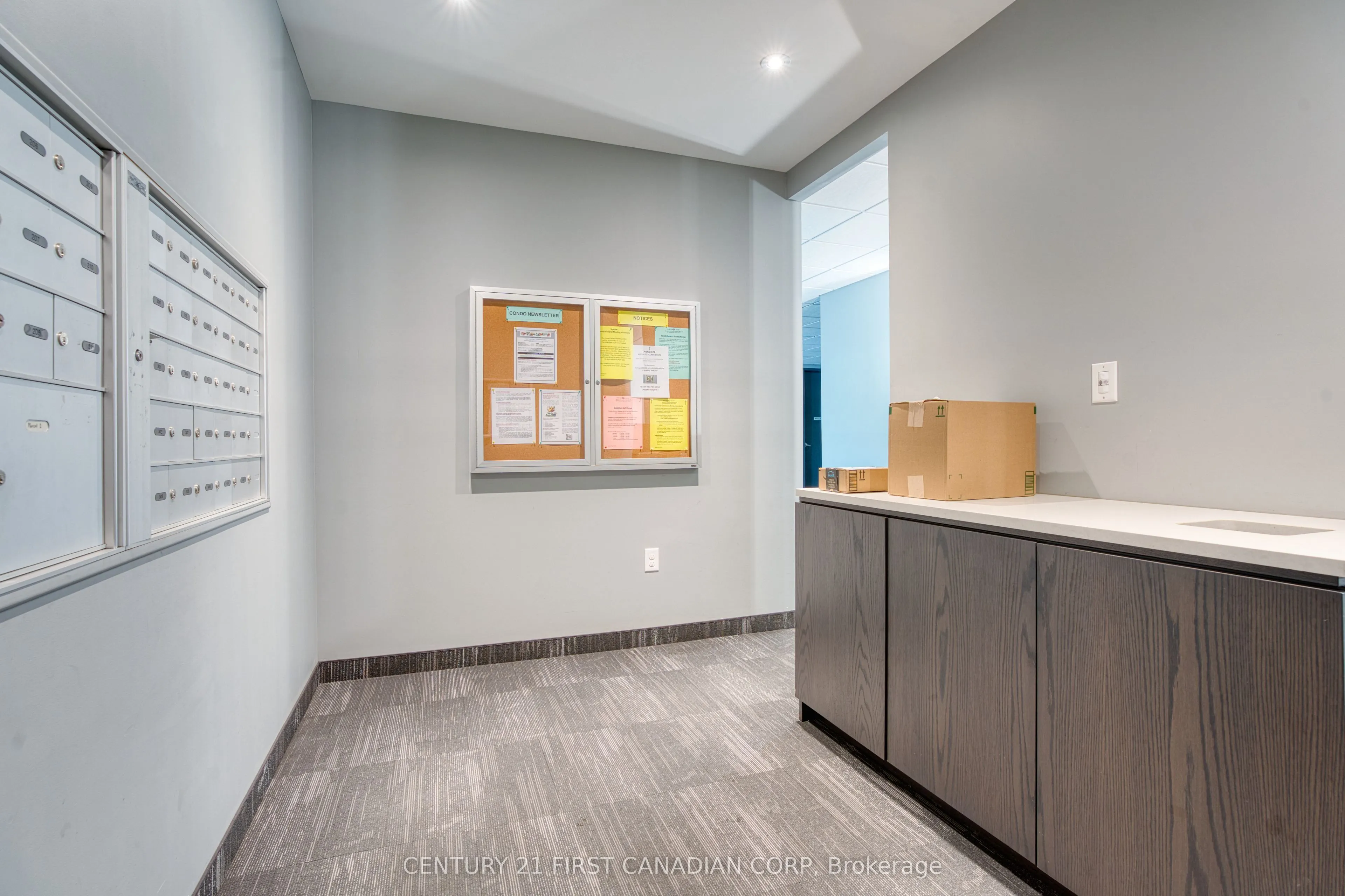 1705 Fiddlehead Place, #411