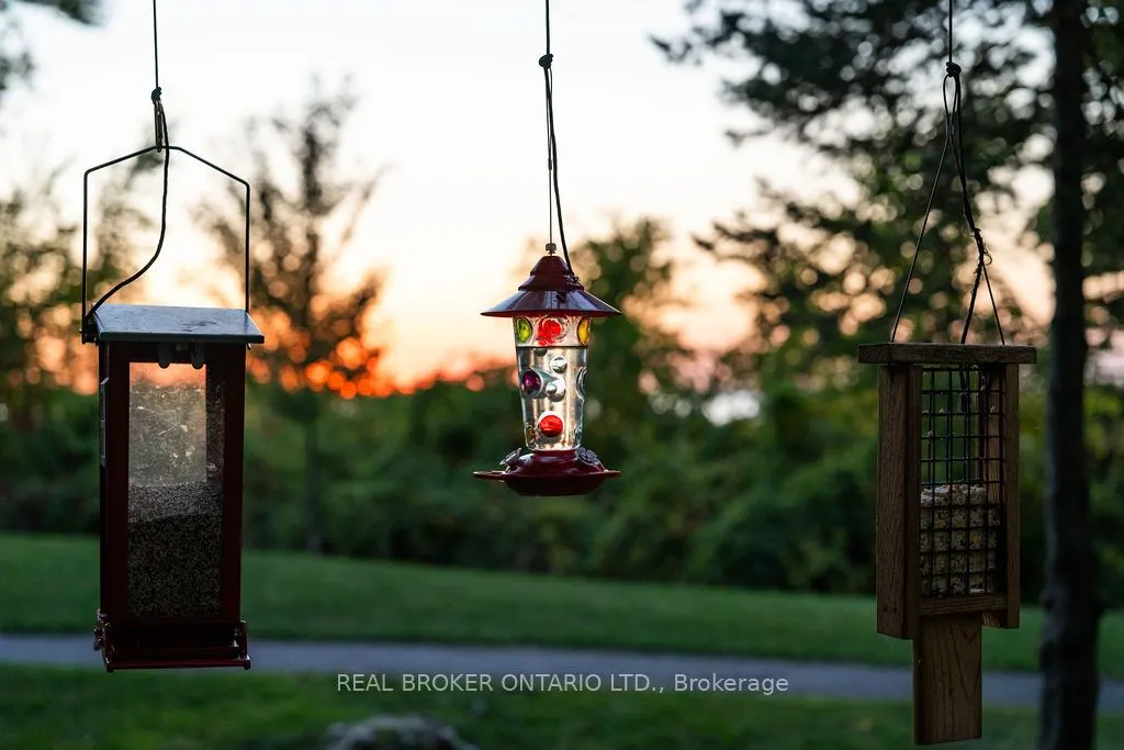 20 Kempster Avenue, #3