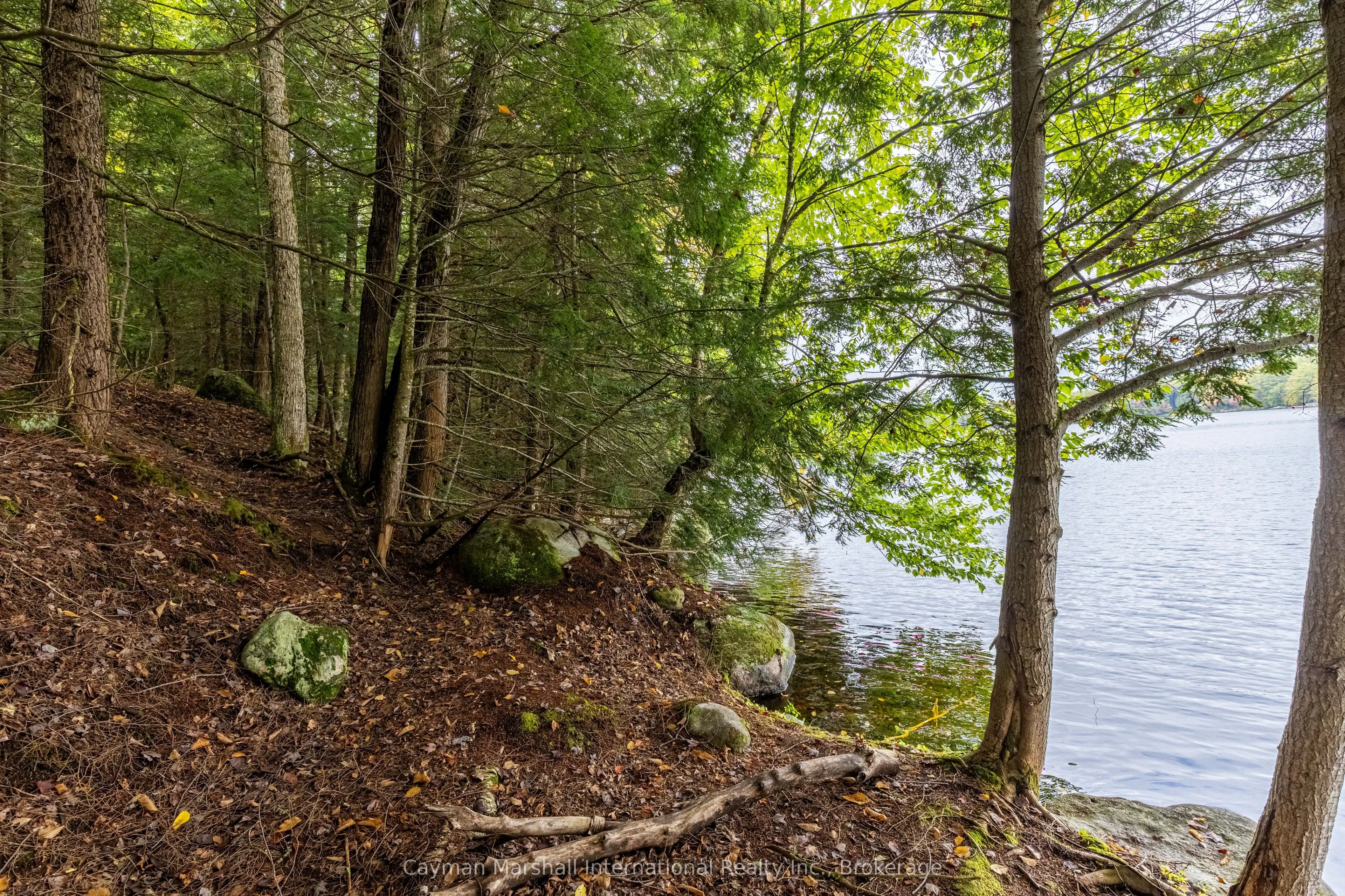 1310 Camel Lake Road, #9