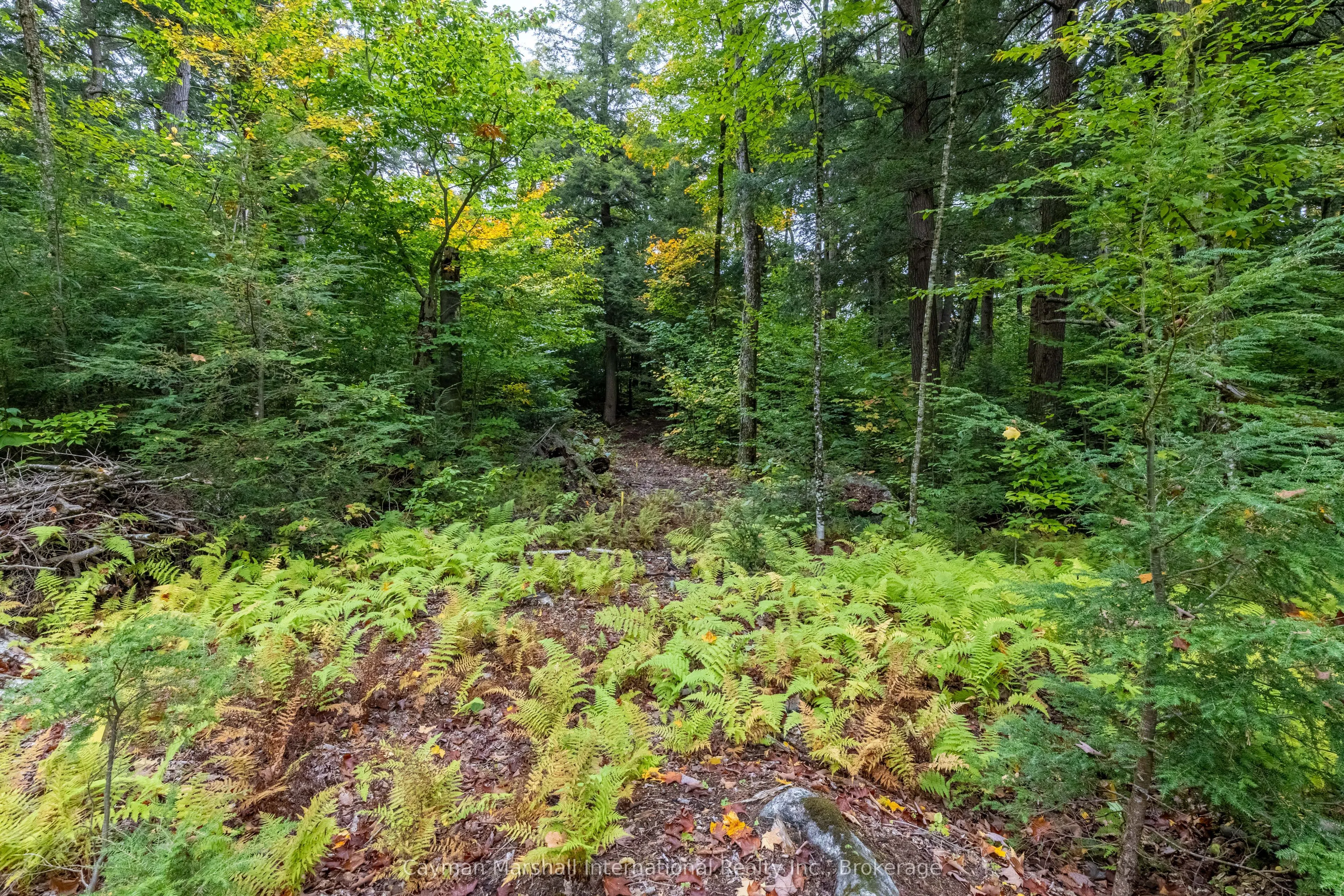 1310 Camel Lake Road, #9