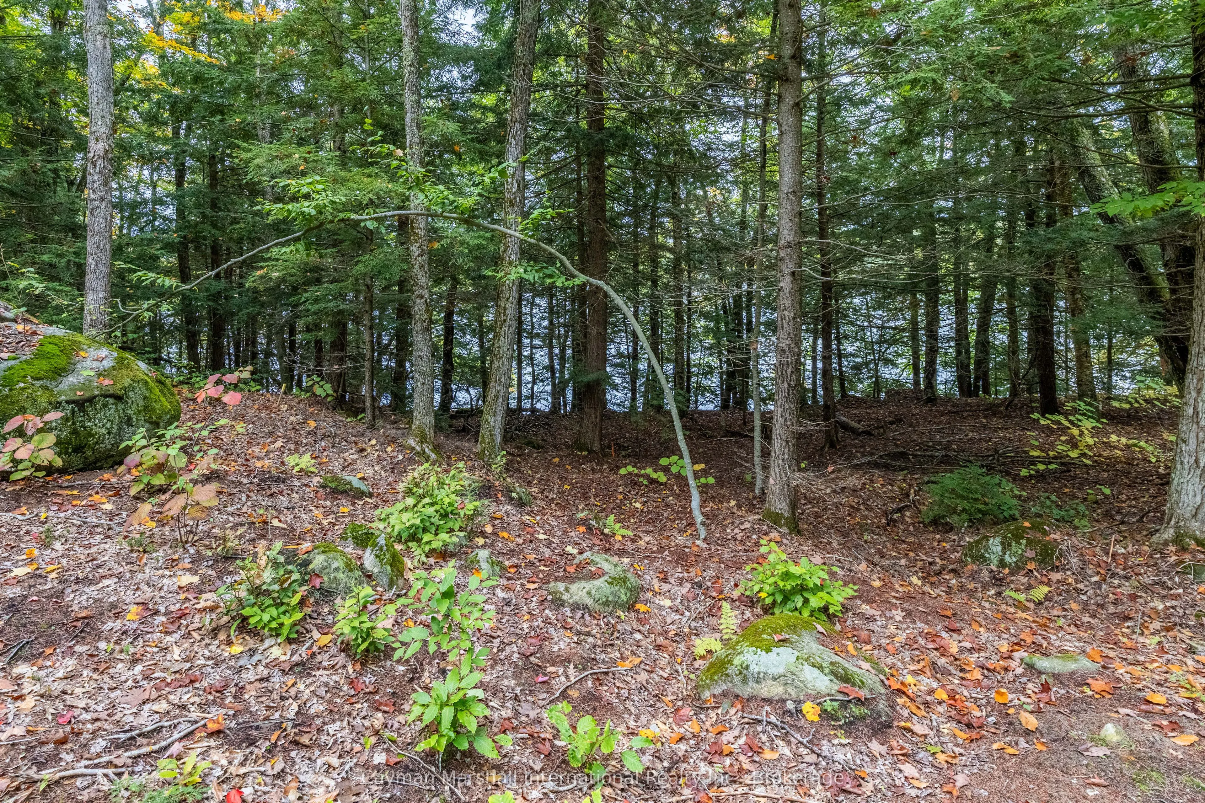 1310 Camel Lake Road, #9