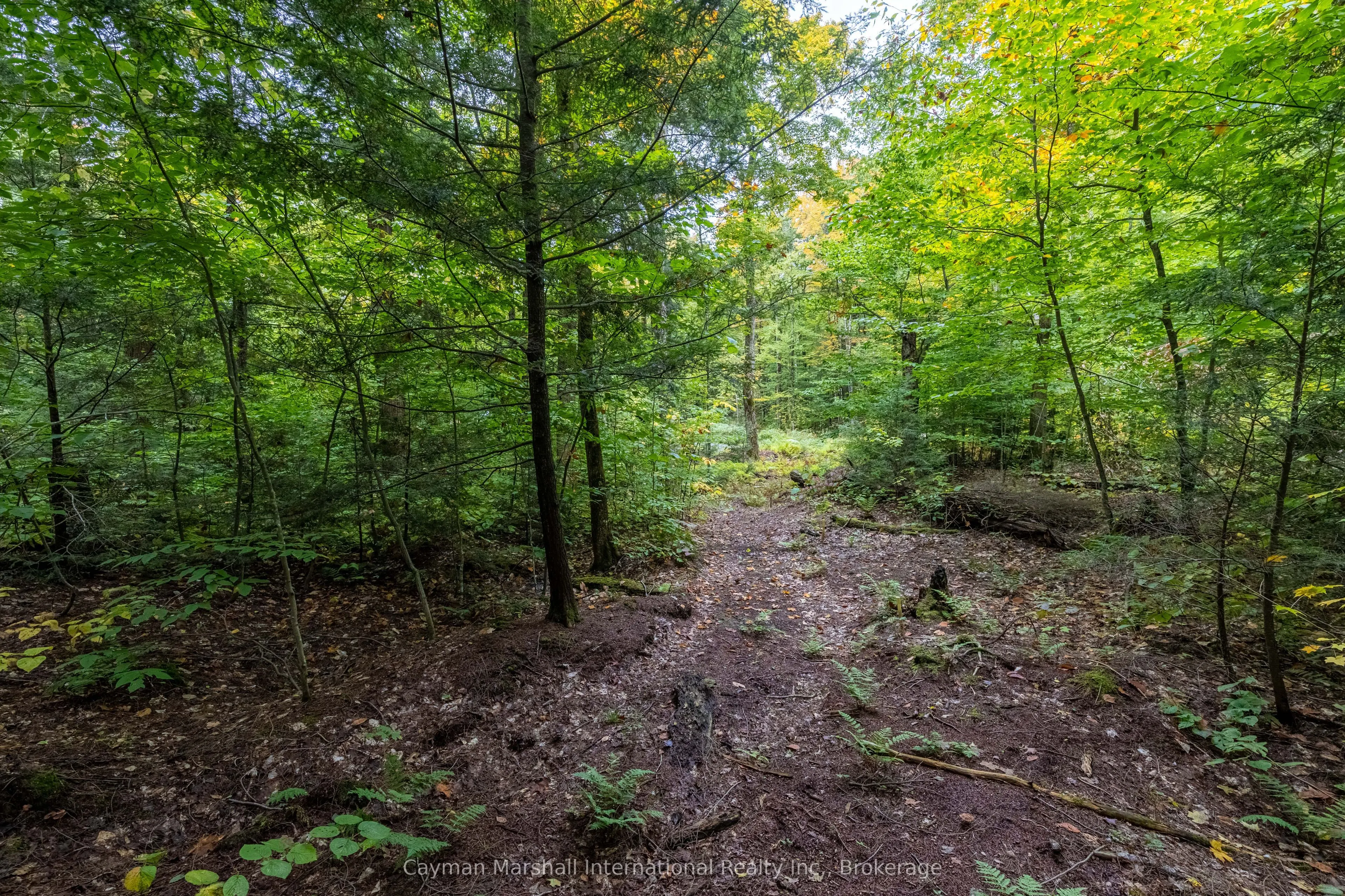 1310 Camel Lake Road, #9