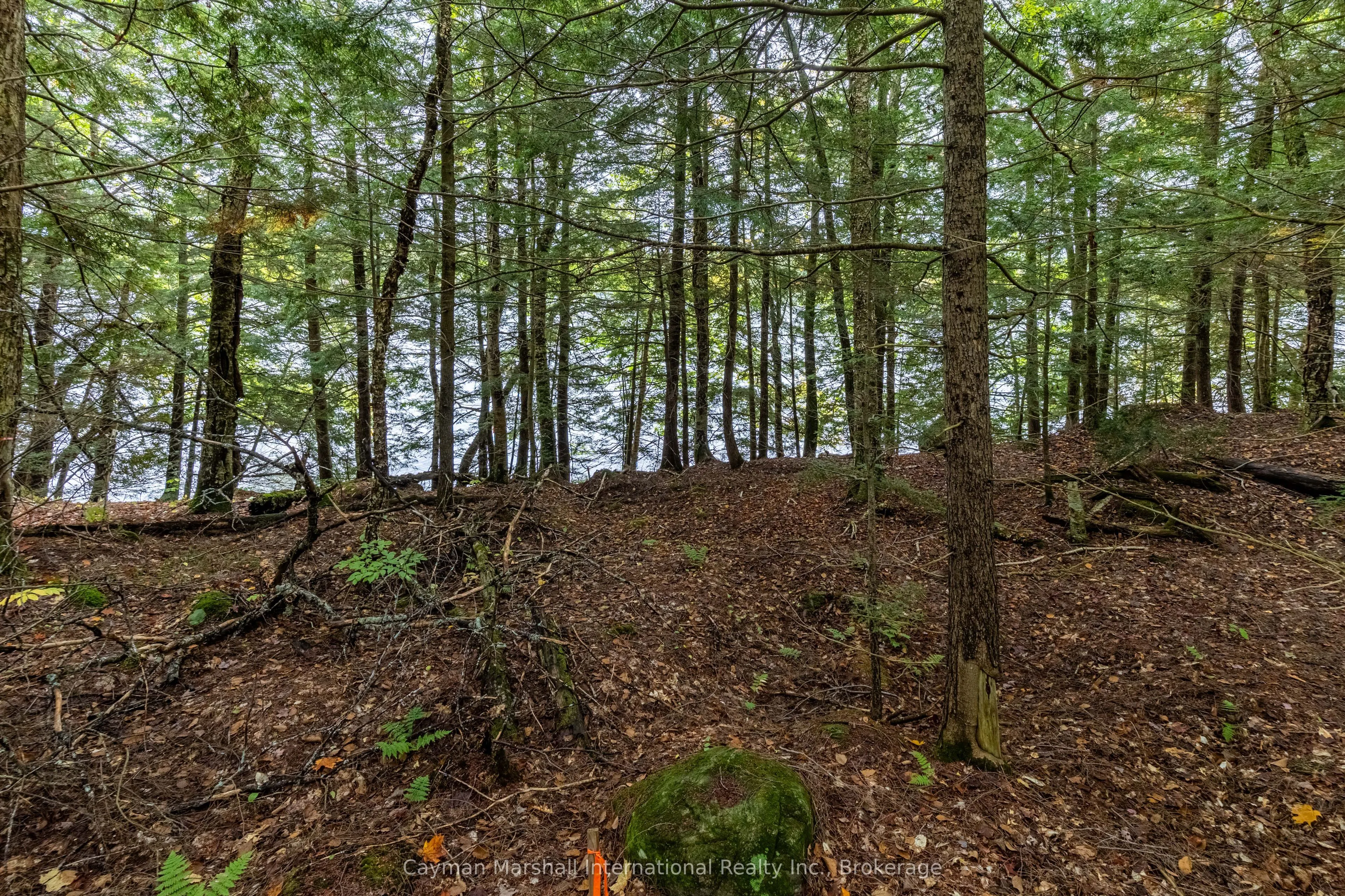1310 Camel Lake Road, #9
