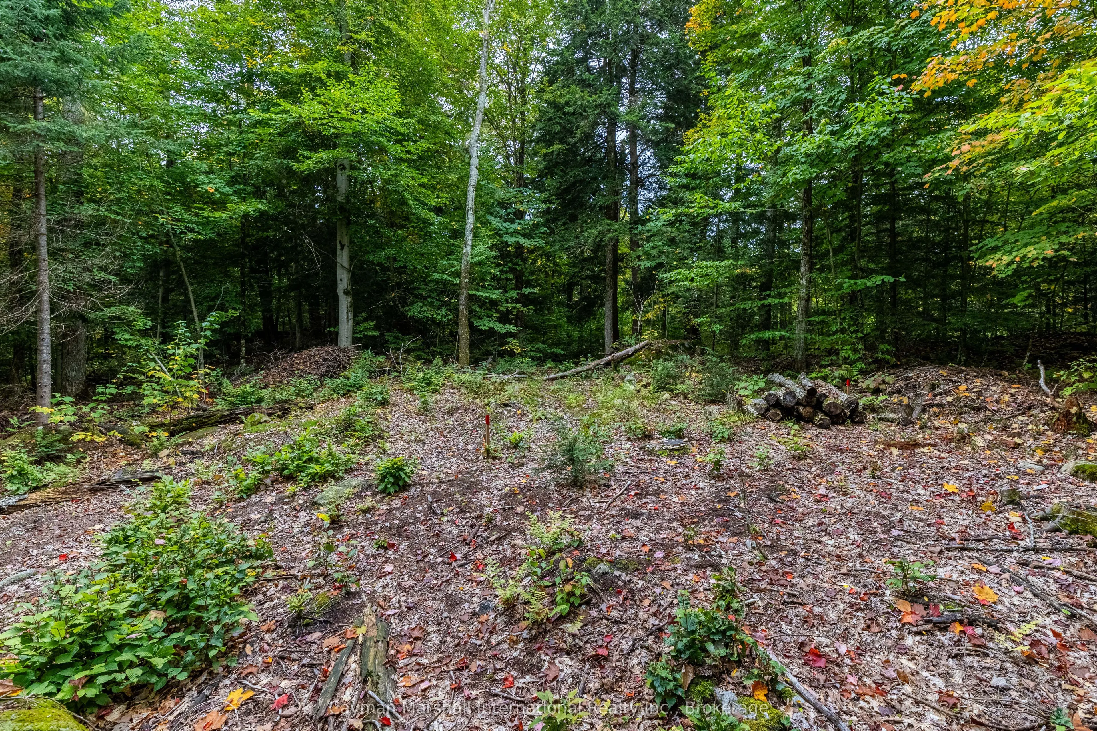 1310 Camel Lake Road, #9