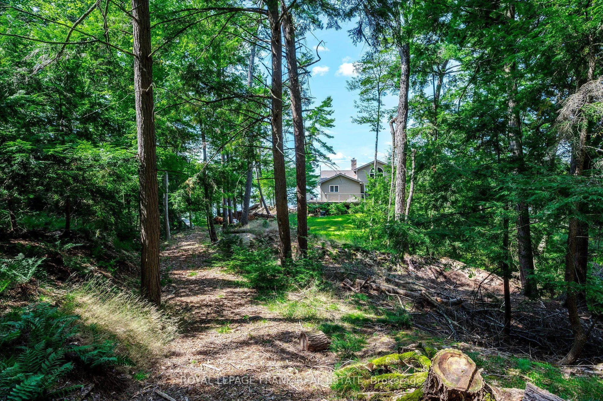 484 Juniper Island