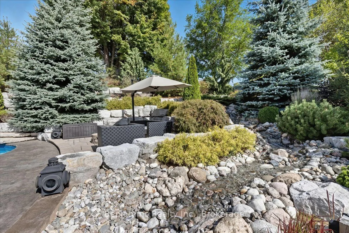 237 River Birch Street