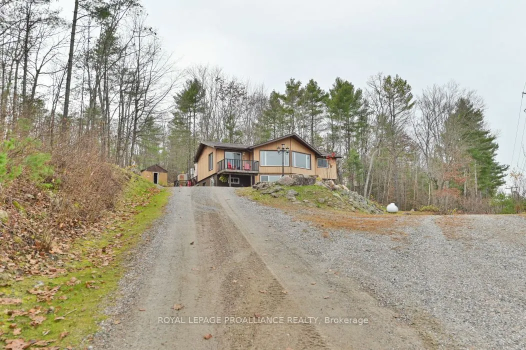 17206 Highway 41